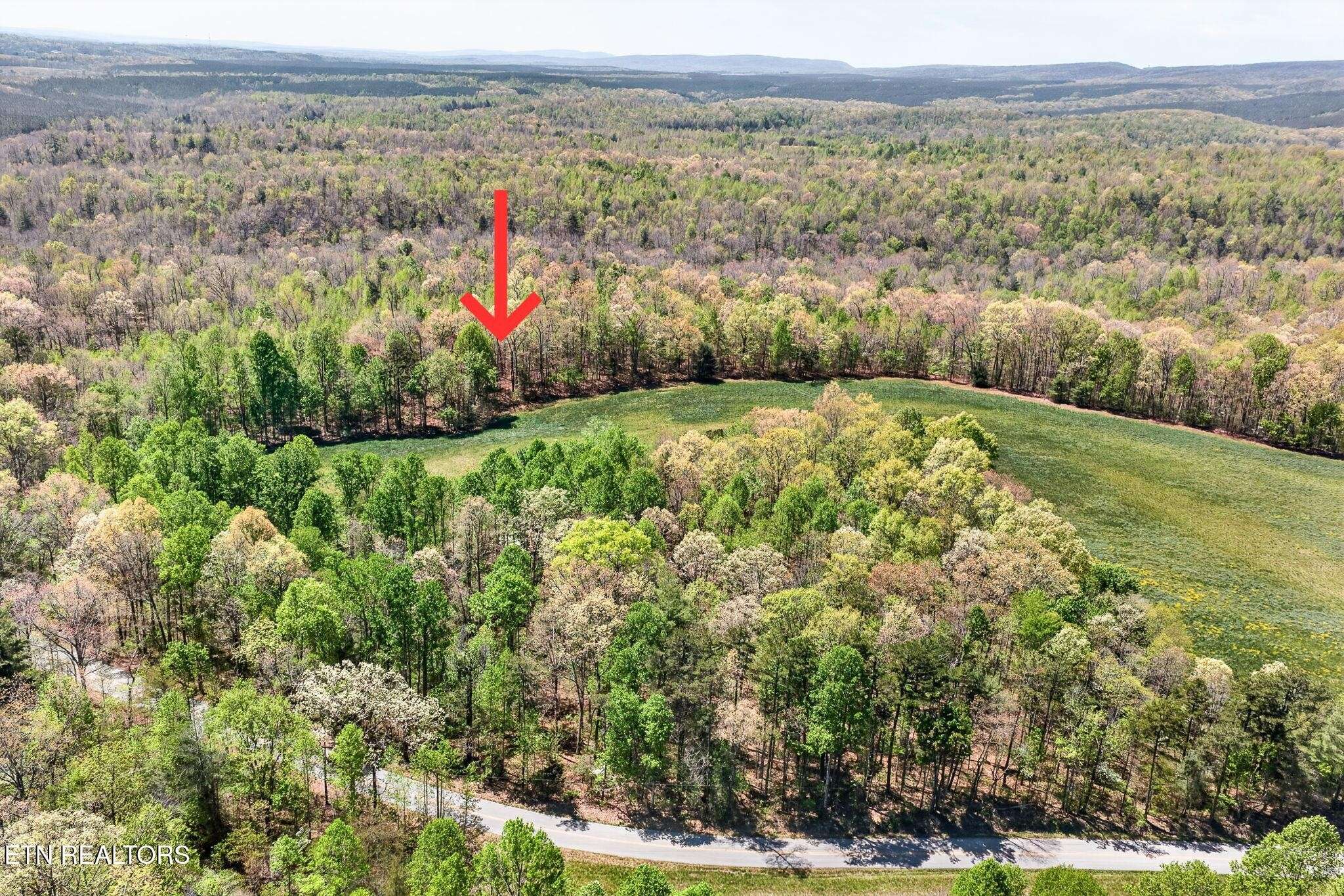 5 Smith Mountain Rd, Rockwood, TN 37854
