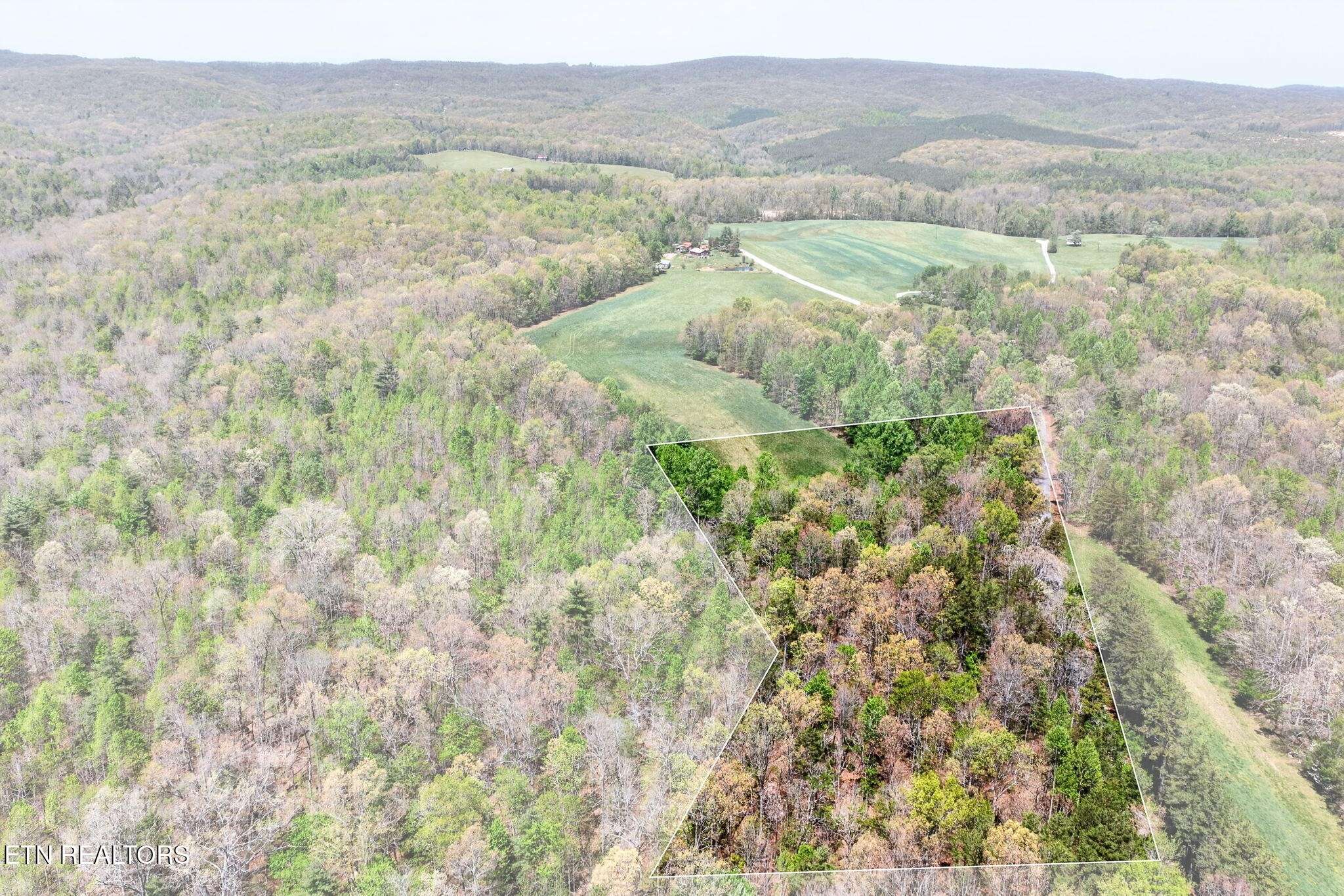 4 Smith Mountain Rd, Rockwood, TN 37854
