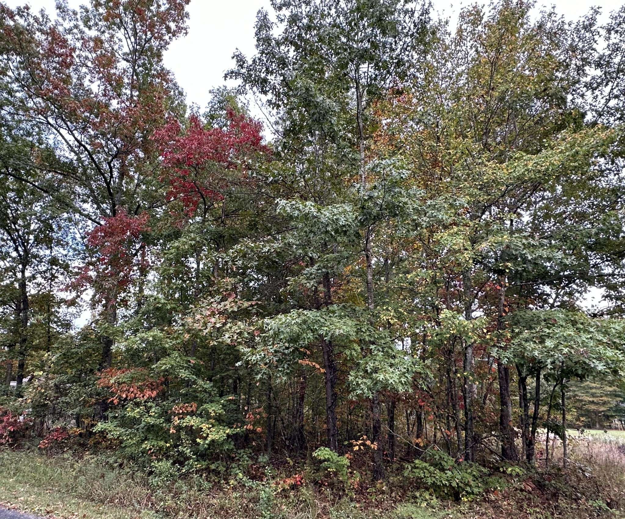 7000 Topez Drive, Crossville, TN 38572