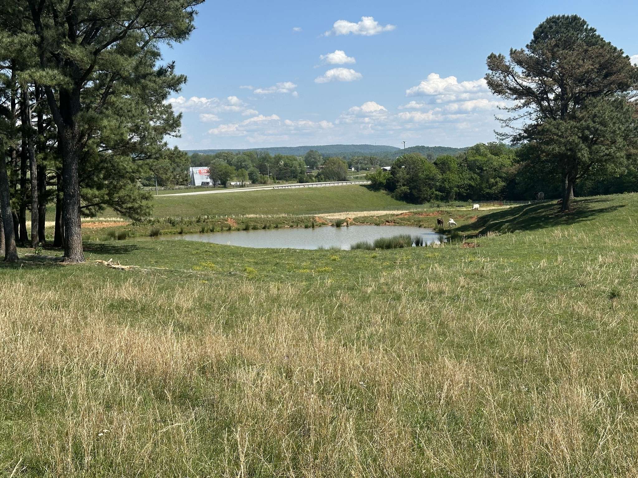 0 Charles Golden Rd, Sparta, TN 38583