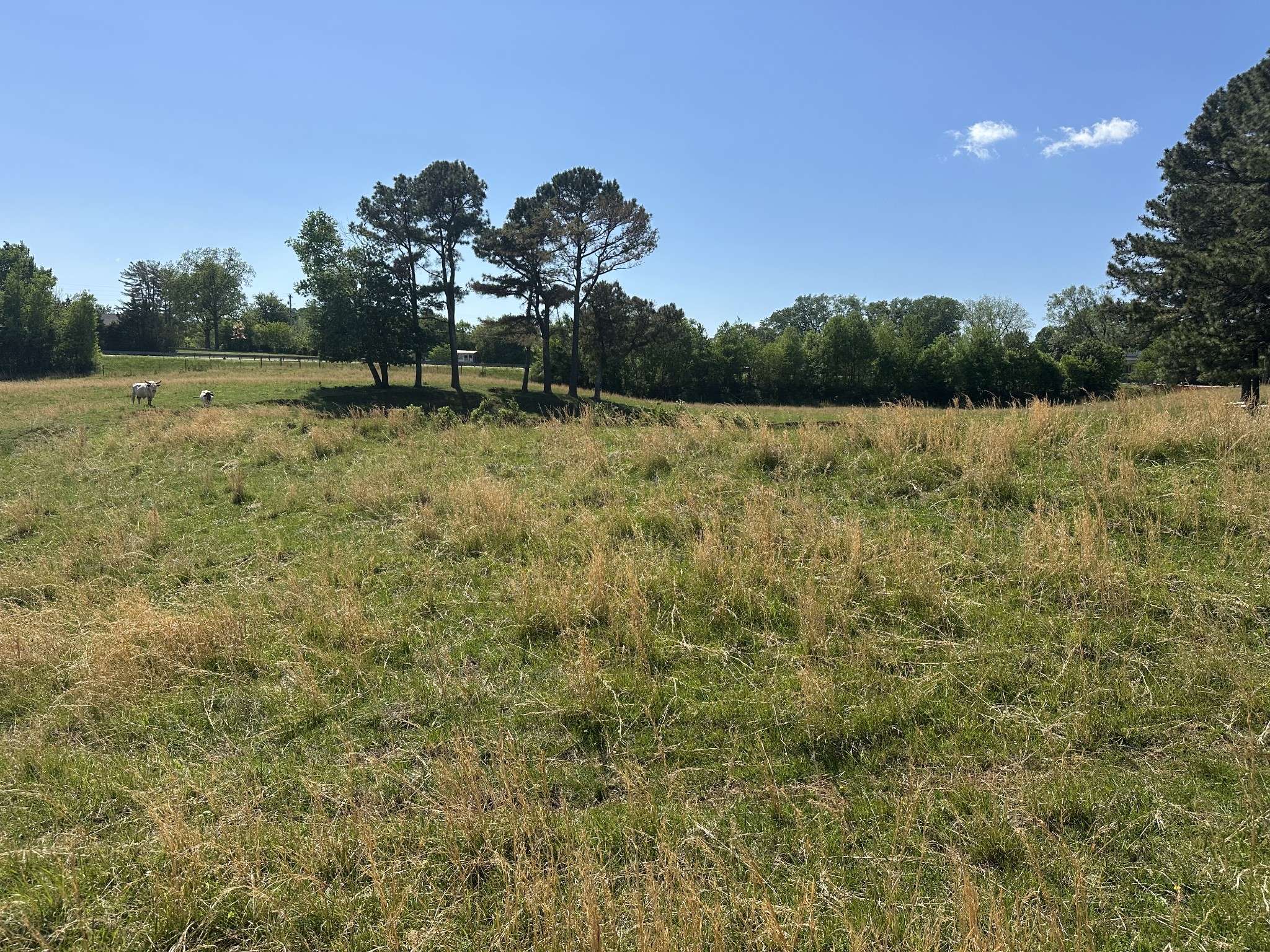 0 Charles Golden Rd, Sparta, TN 38583