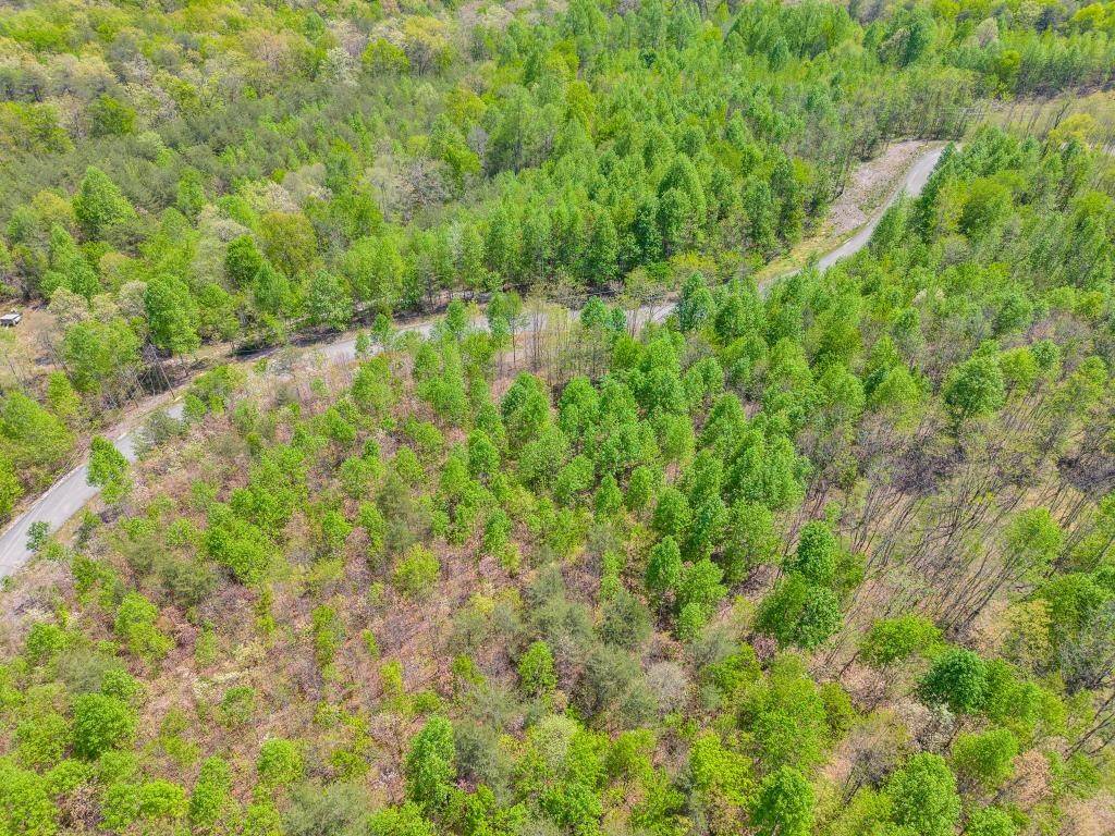 0 Overlook Drive, Spencer, TN 38585