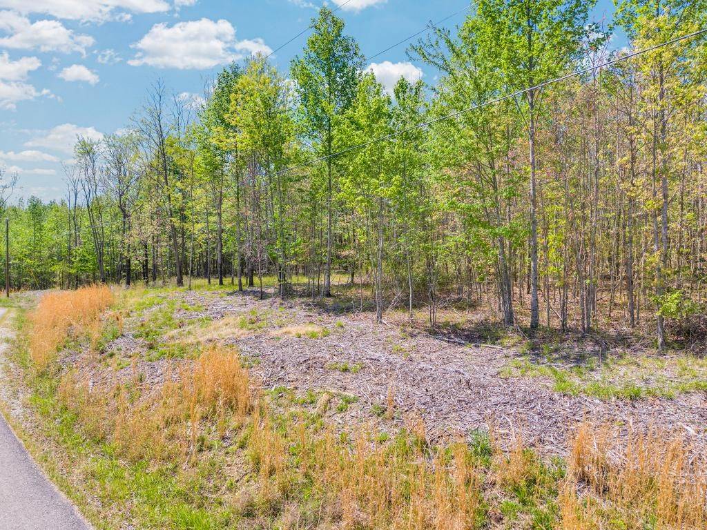 0 Overlook Drive, Spencer, TN 38585