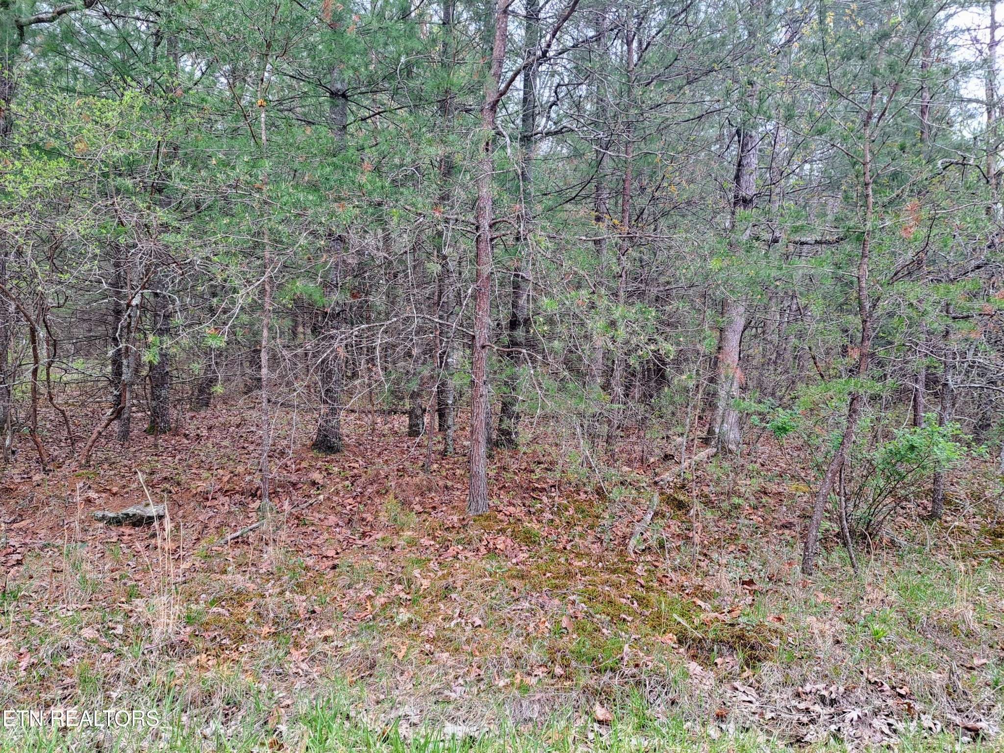 927 Paola Drive, Crossville, TN 38572