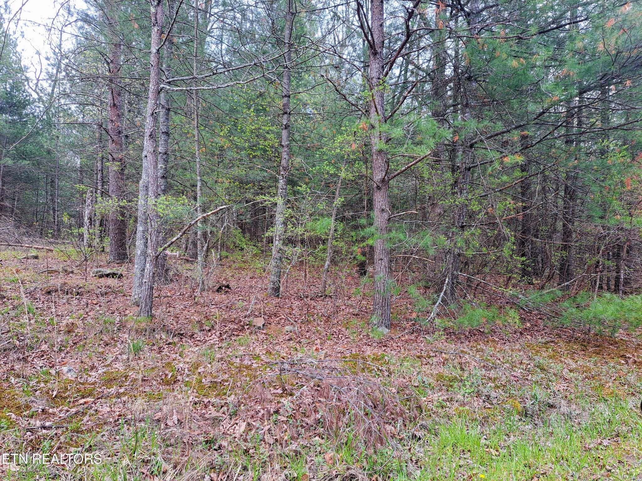 927 Paola Drive, Crossville, TN 38572