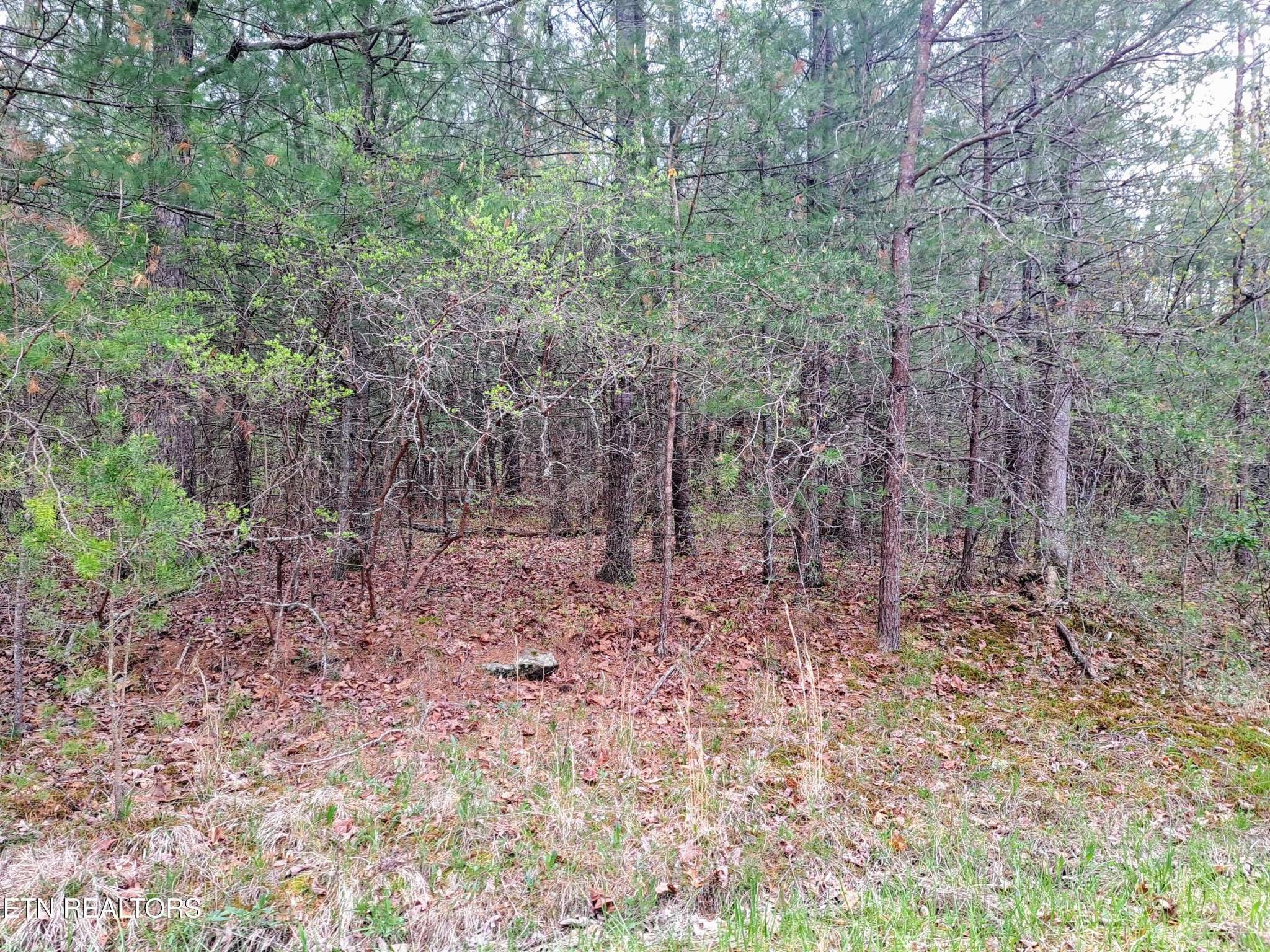 927 Paola Drive, Crossville, TN 38572