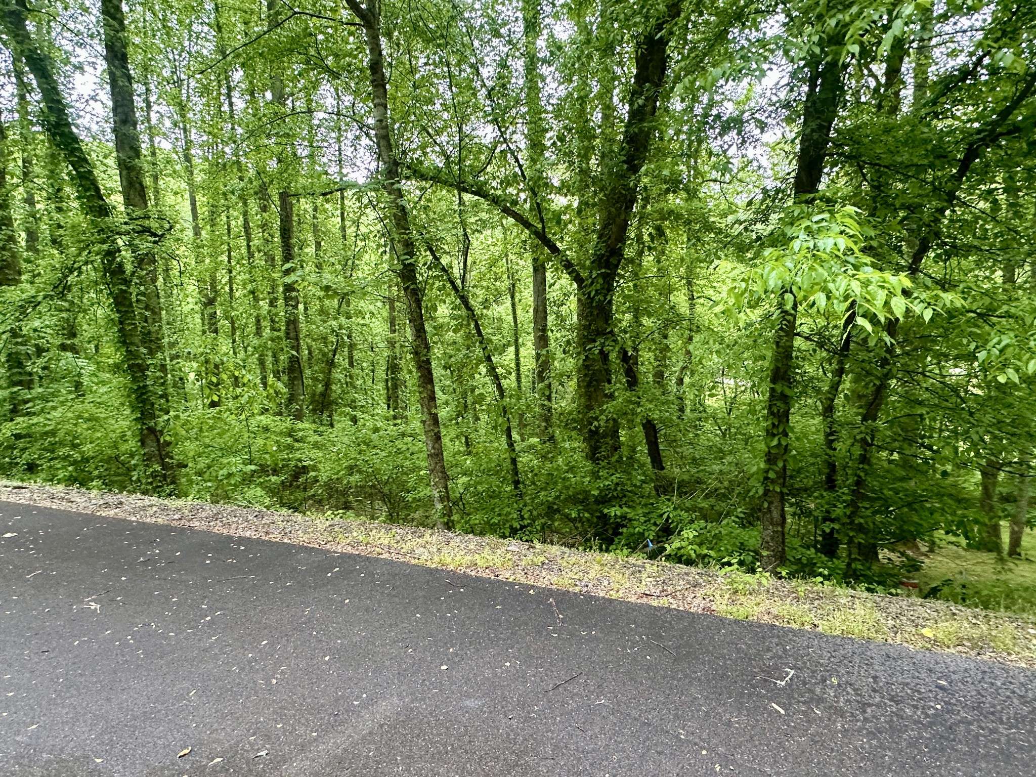 0 Baymont Dr, Lancaster, TN 38569