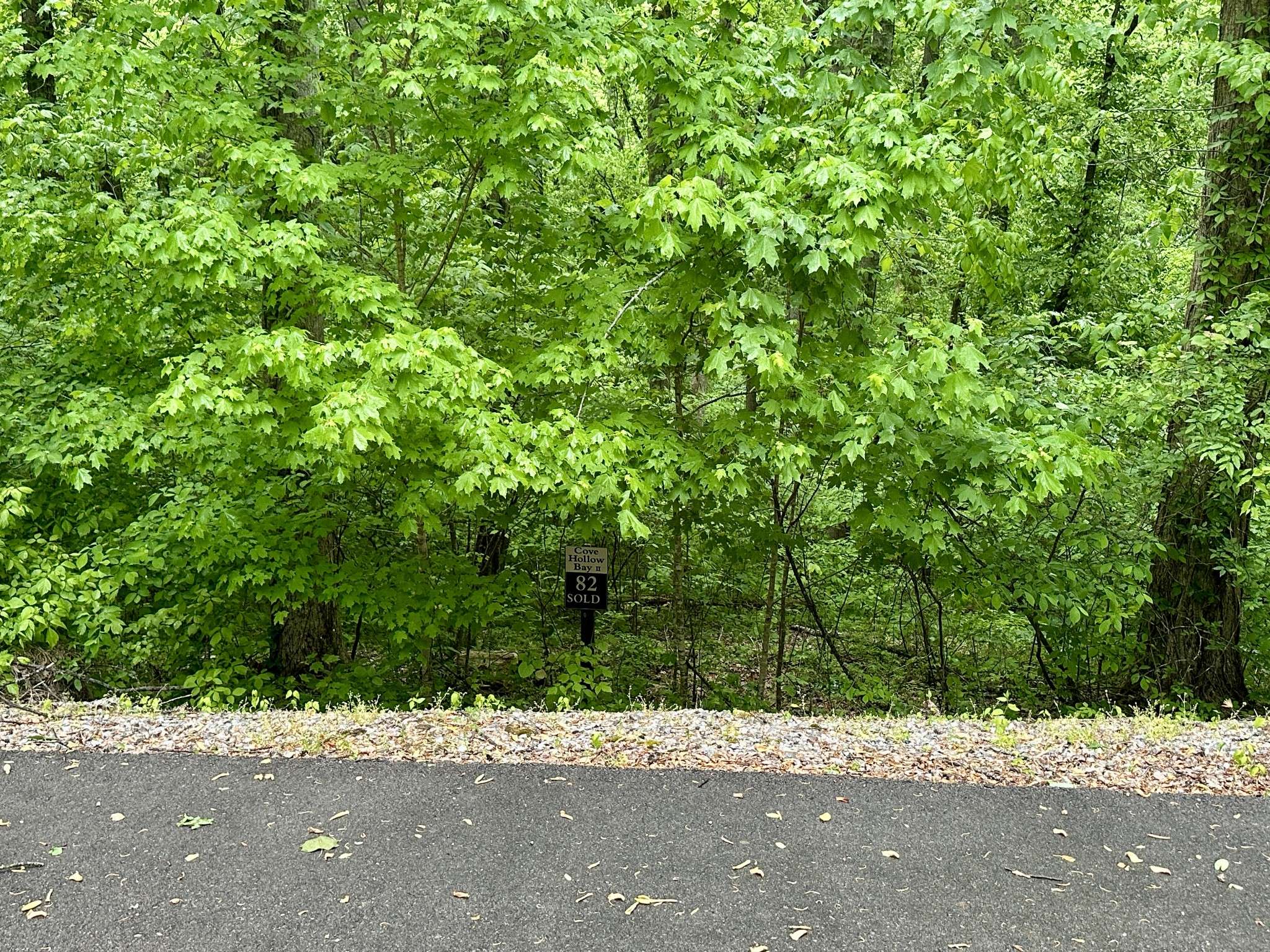 0 Baymont Dr, Lancaster, TN 38569