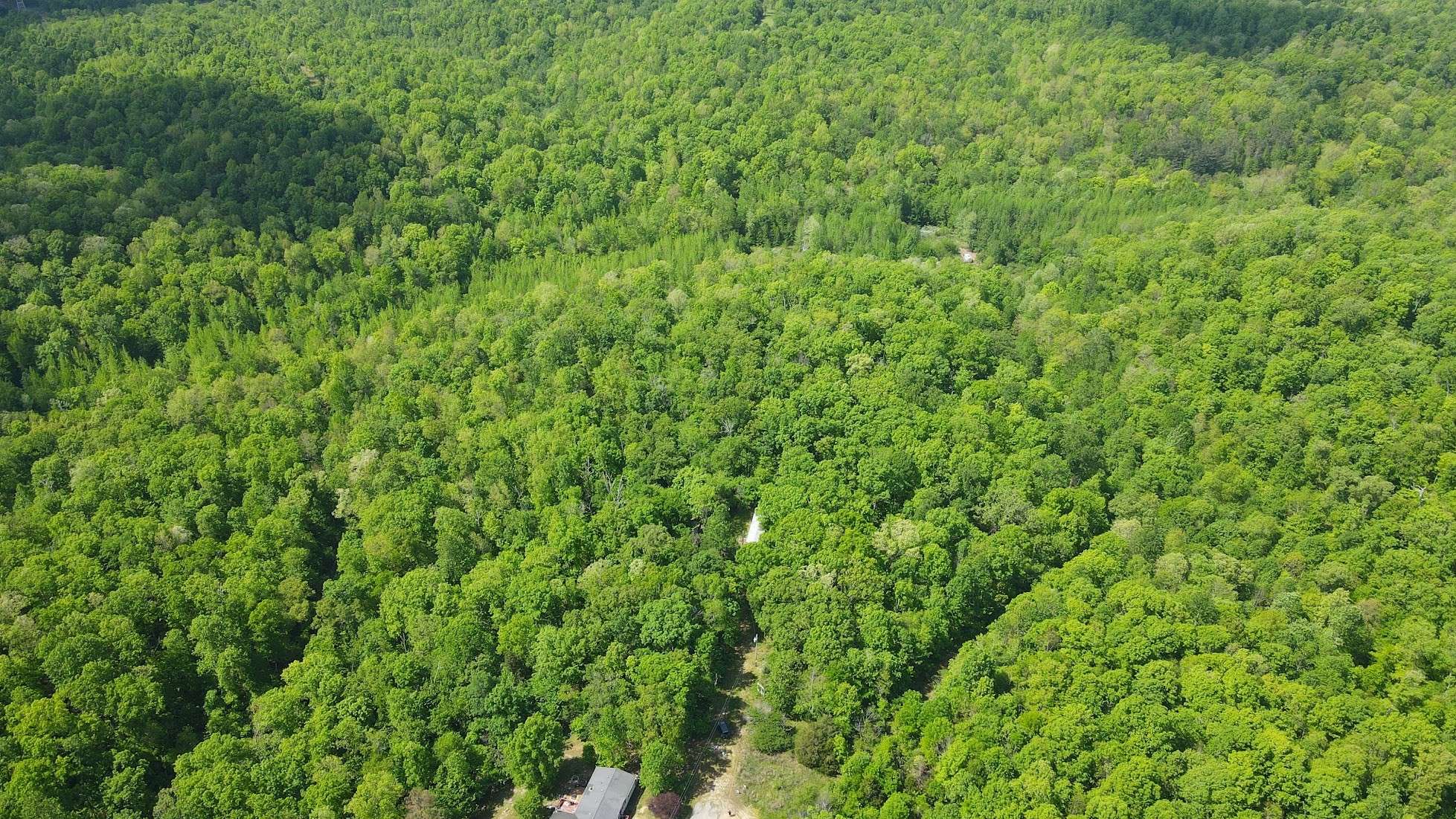 578 Cyclone Ln, Waverly, TN 37185