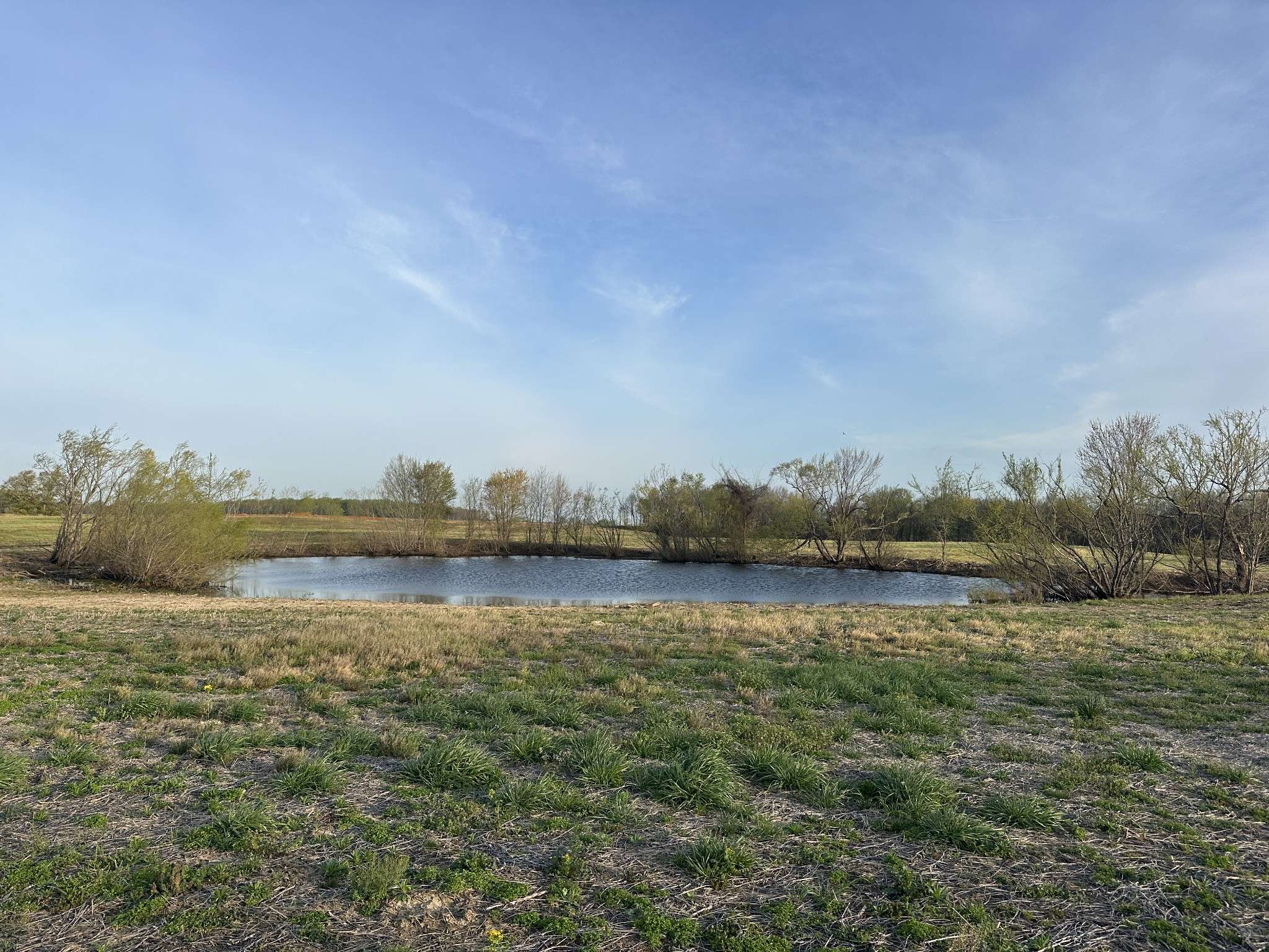 168 Fleming Rd, Portland, TN 37148