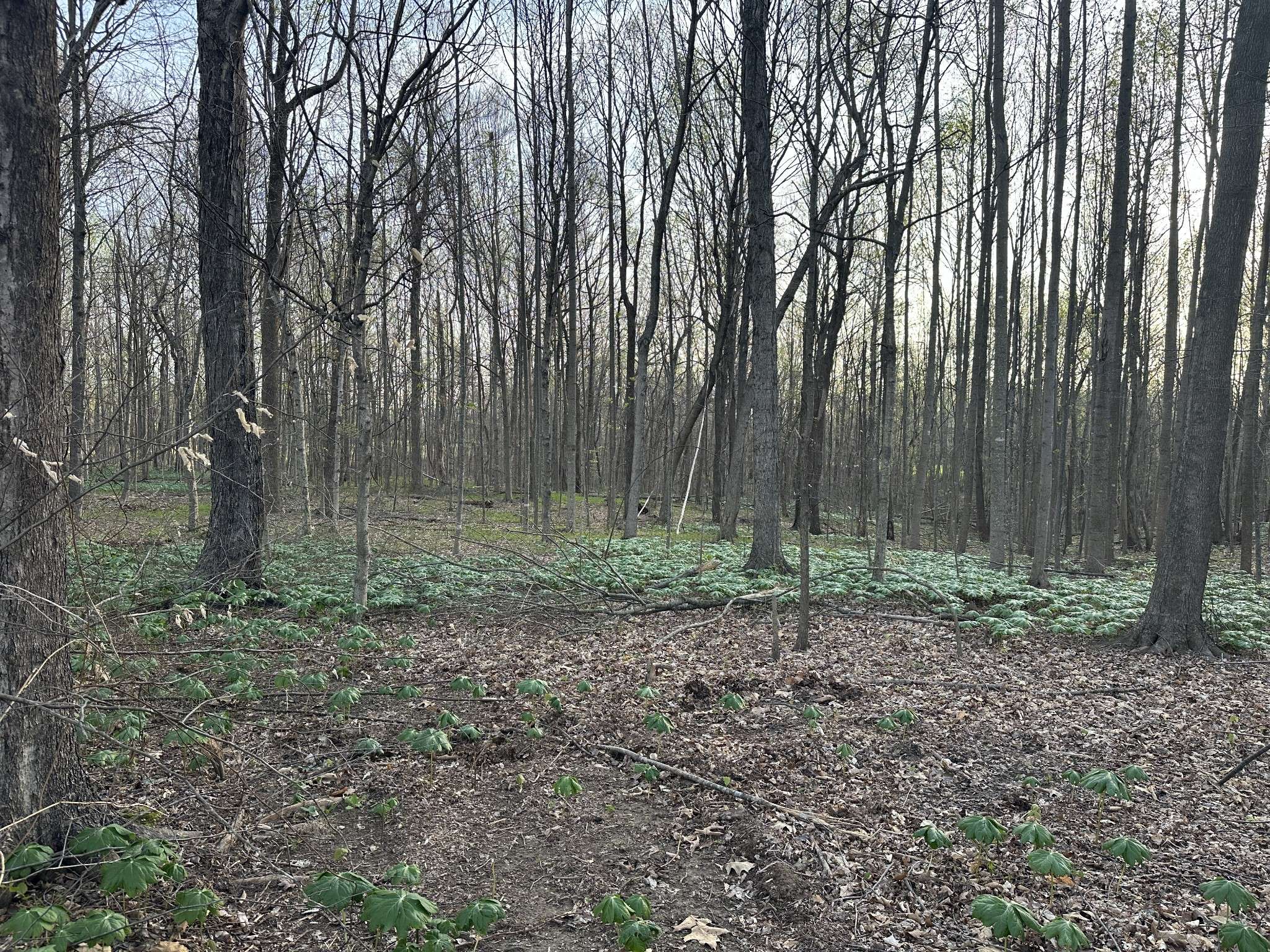 2173 Highway 259, Portland, TN 37148