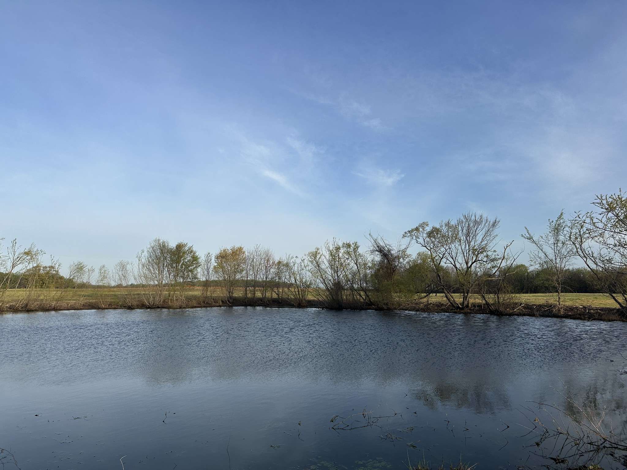 2161 Highway 259, Portland, TN 37148