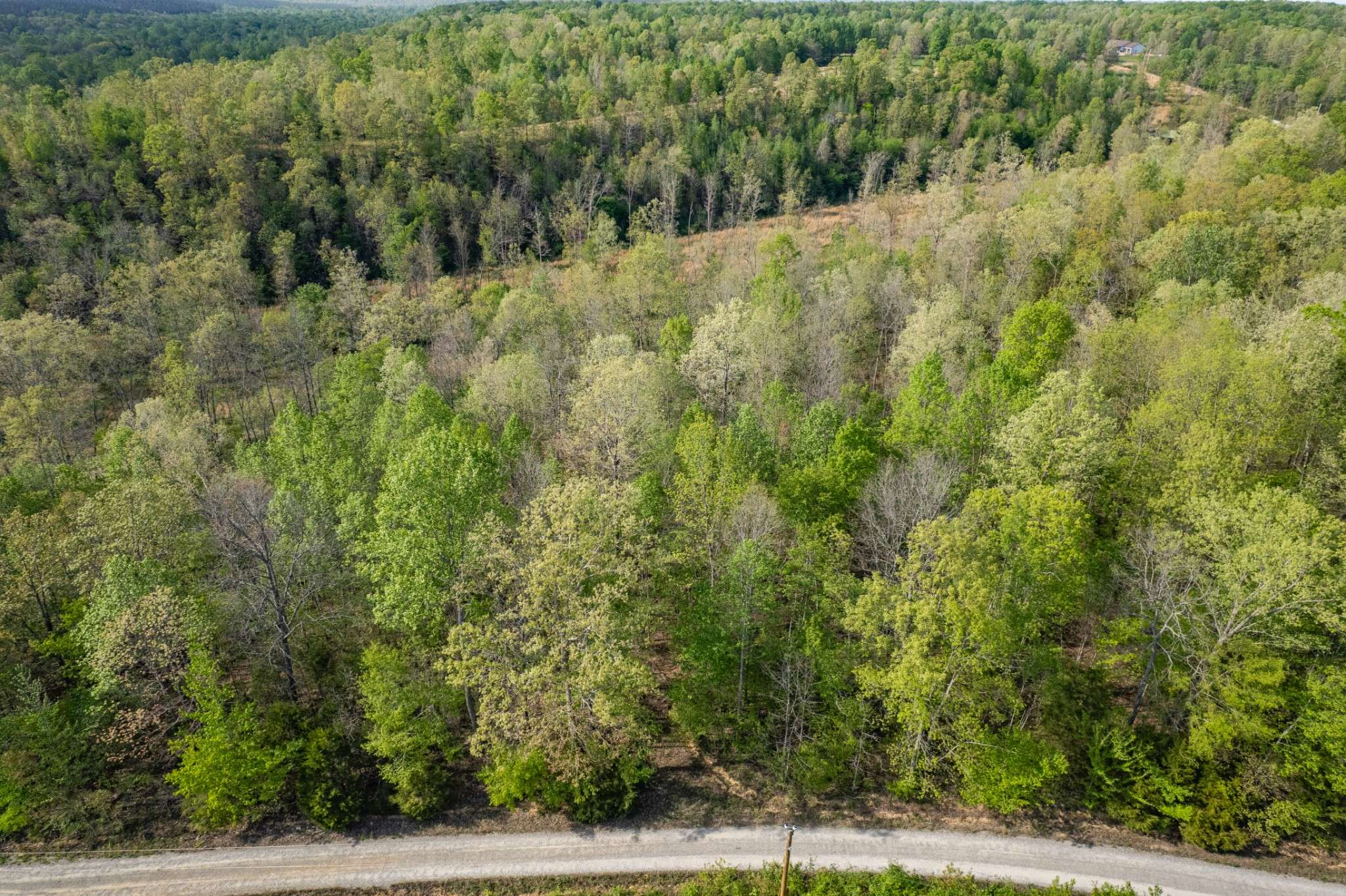 0 Chief Creek Rd, Lawrenceburg, TN 38464