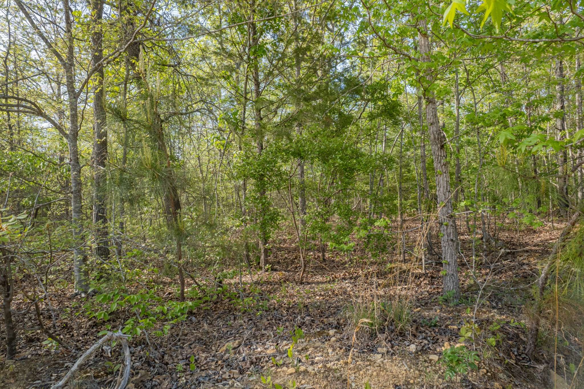 0 Chief Creek Rd, Lawrenceburg, TN 38464