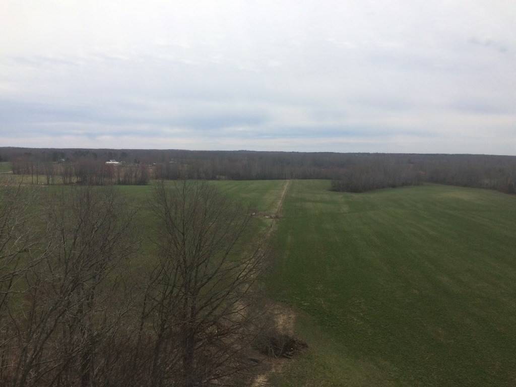 0 Sulphur Creek Rd, Big Sandy, TN 38221