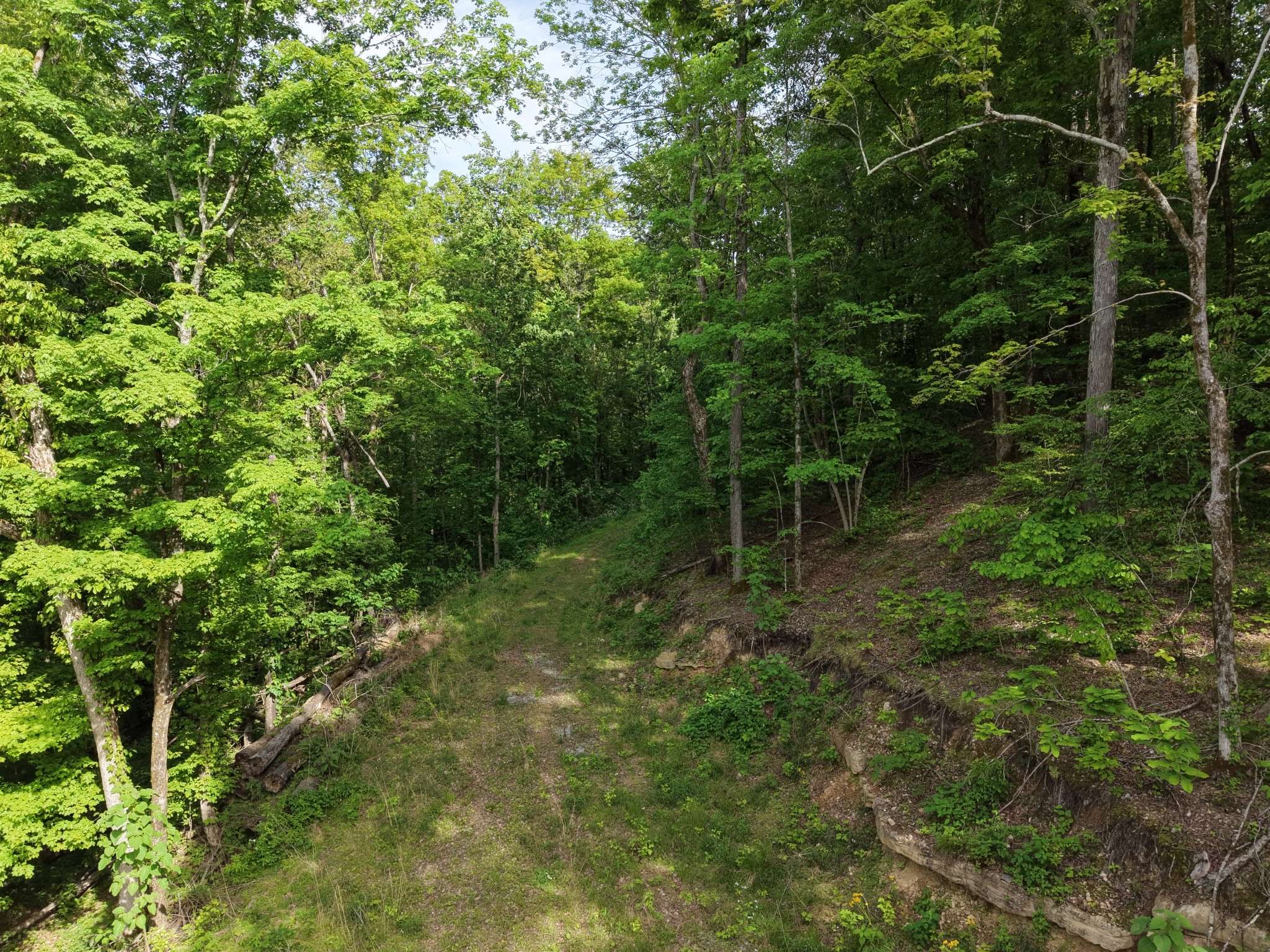 0 Bethel Rd, Pulaski, TN 38478