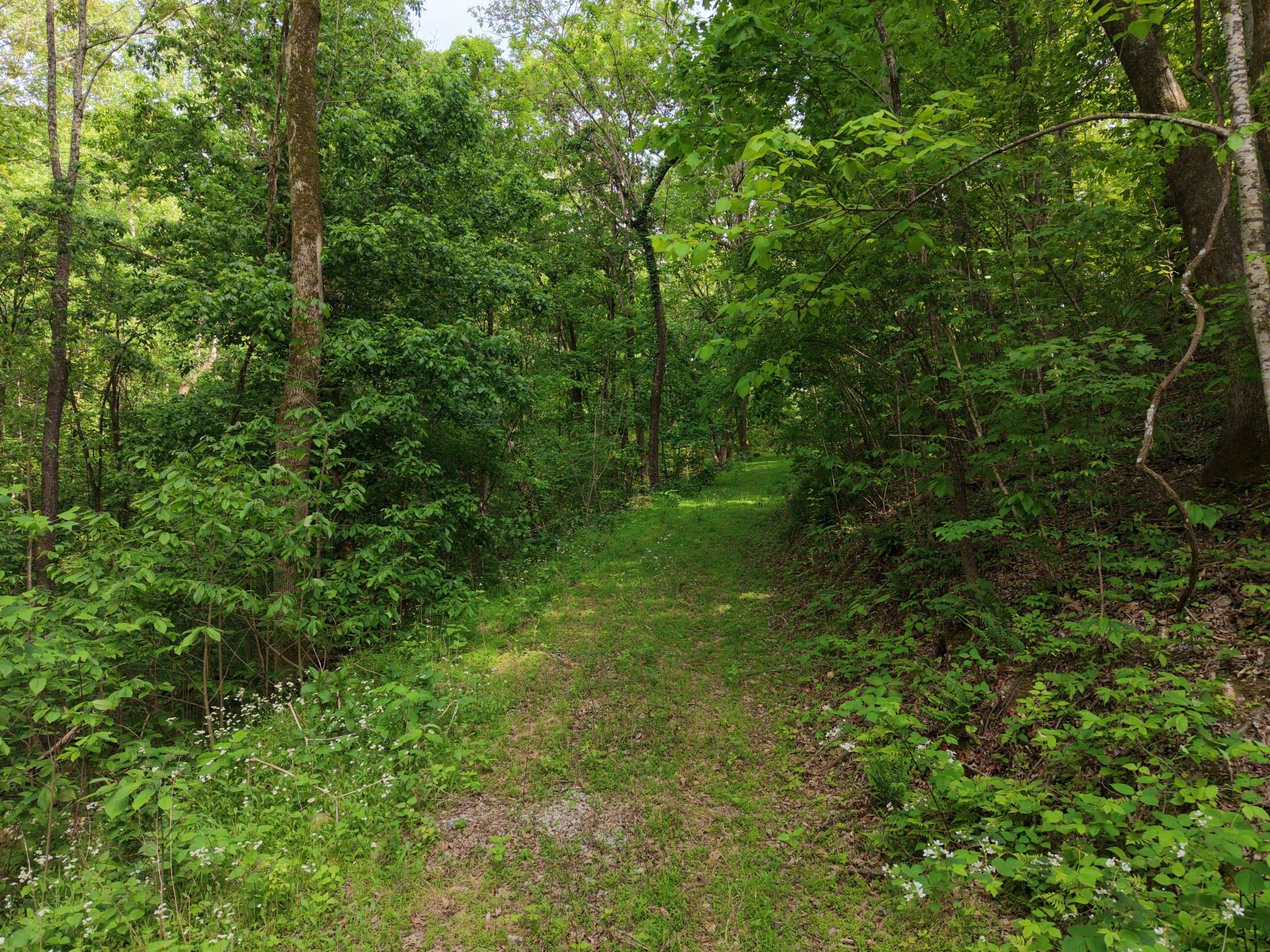 0 Bethel Rd, Pulaski, TN 38478