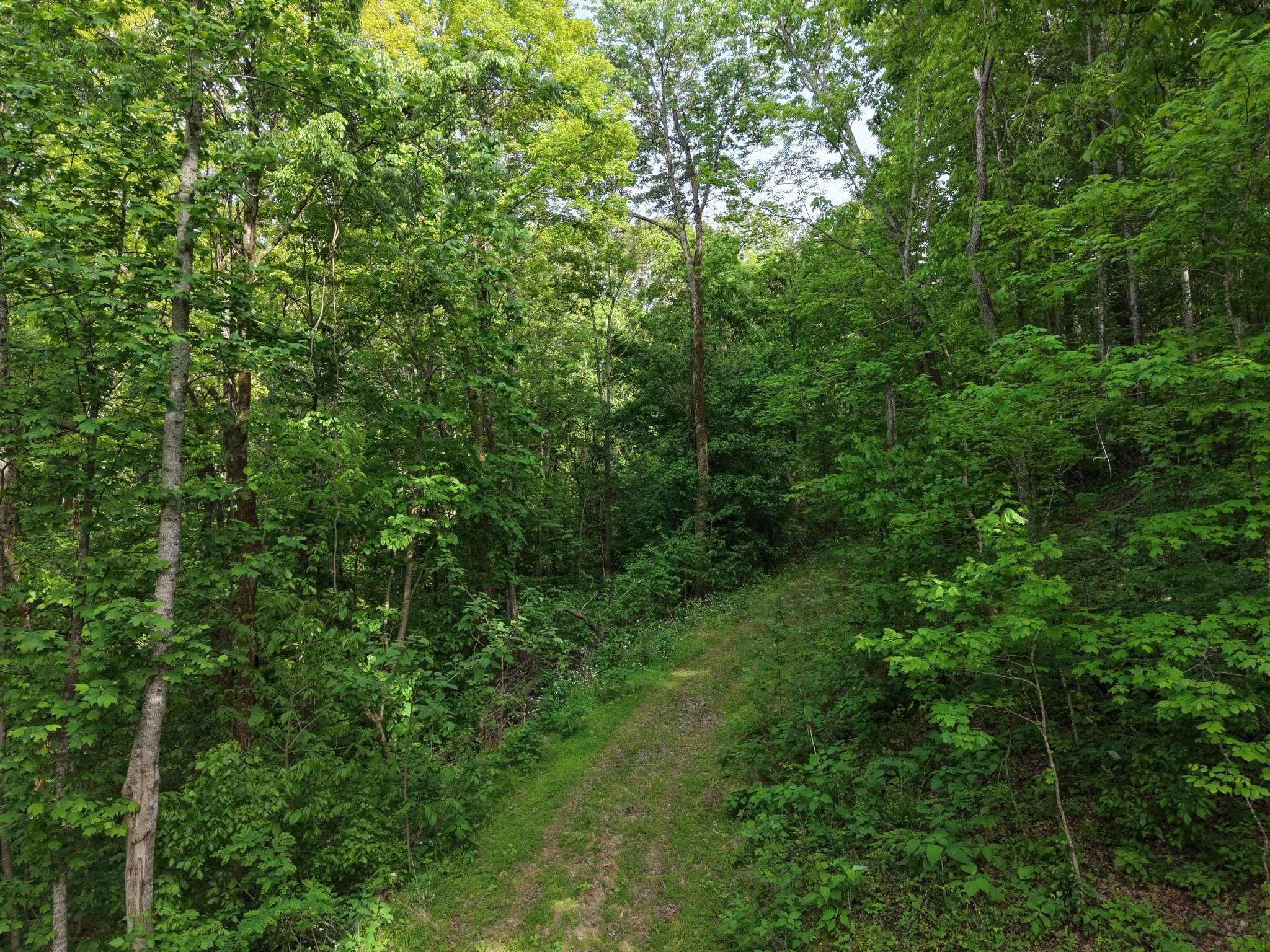 0 Bethel Rd, Pulaski, TN 38478