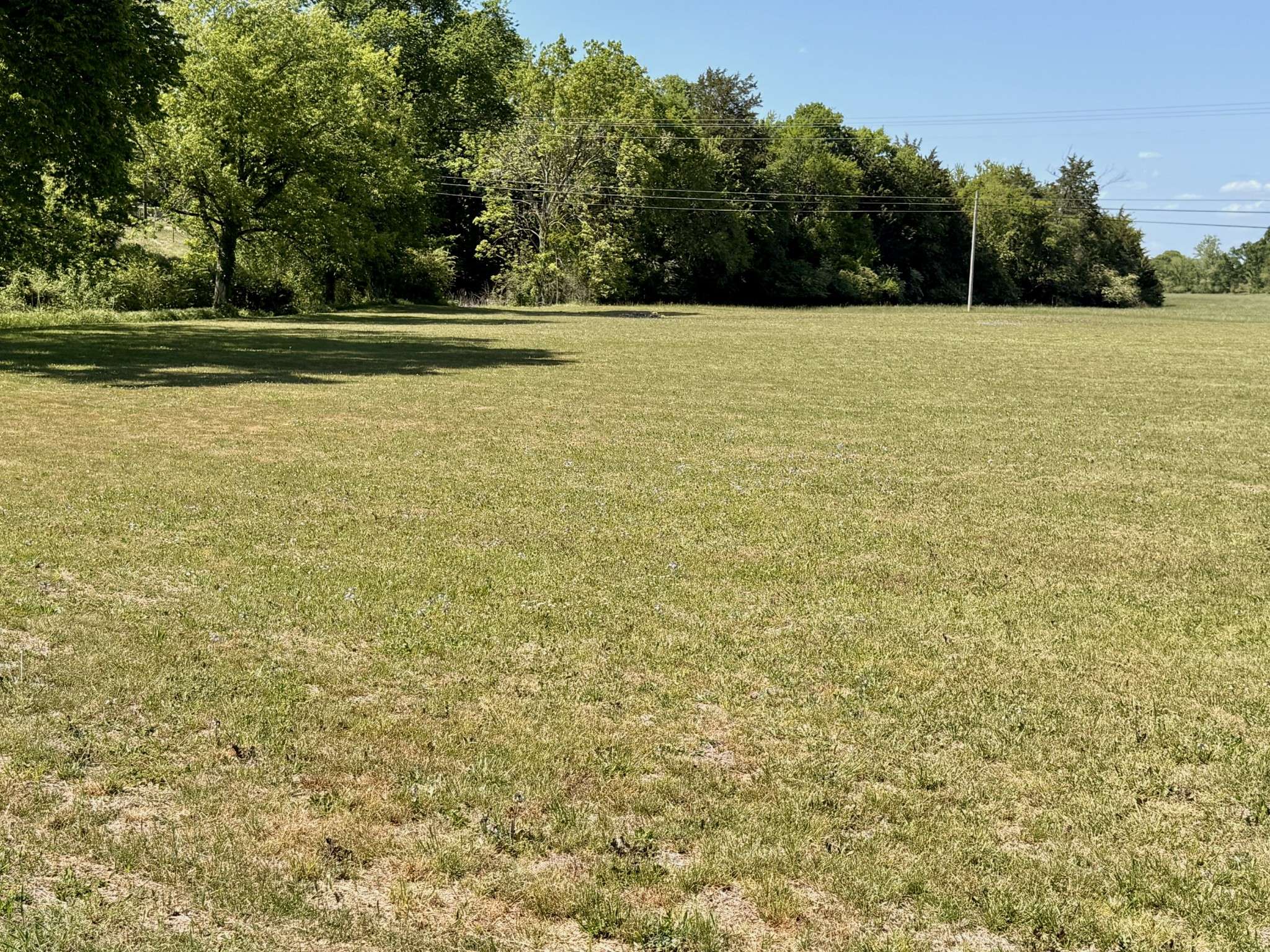 0 Holly Grove Rd, Lewisburg, TN 37091