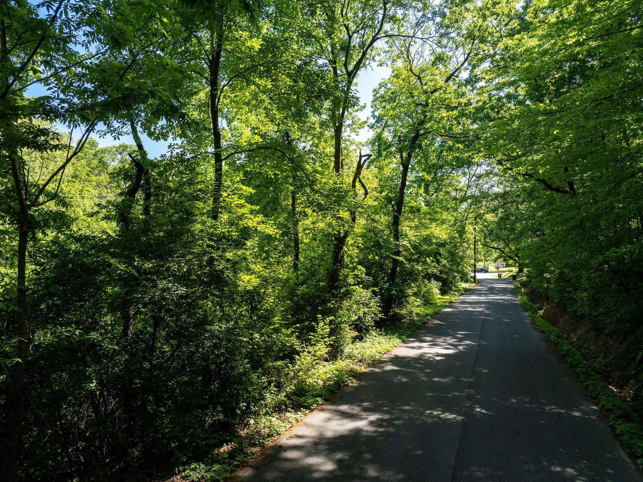 0 New York Avenue, Chattanooga, TN 37406
