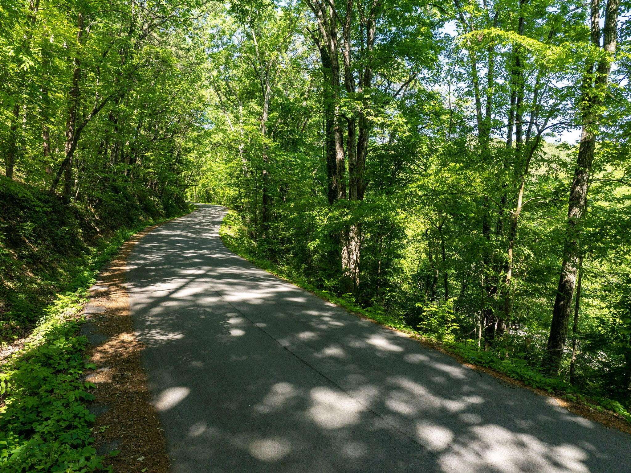 0 New York Avenue, Chattanooga, TN 37406