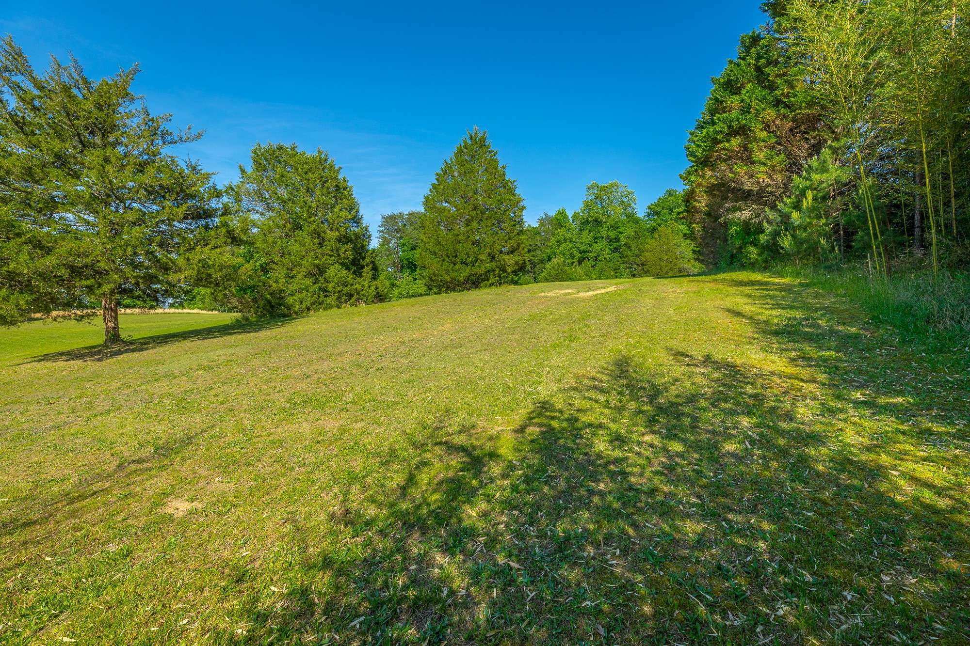 16612 N Star Cir, Bakewell, TN 37373