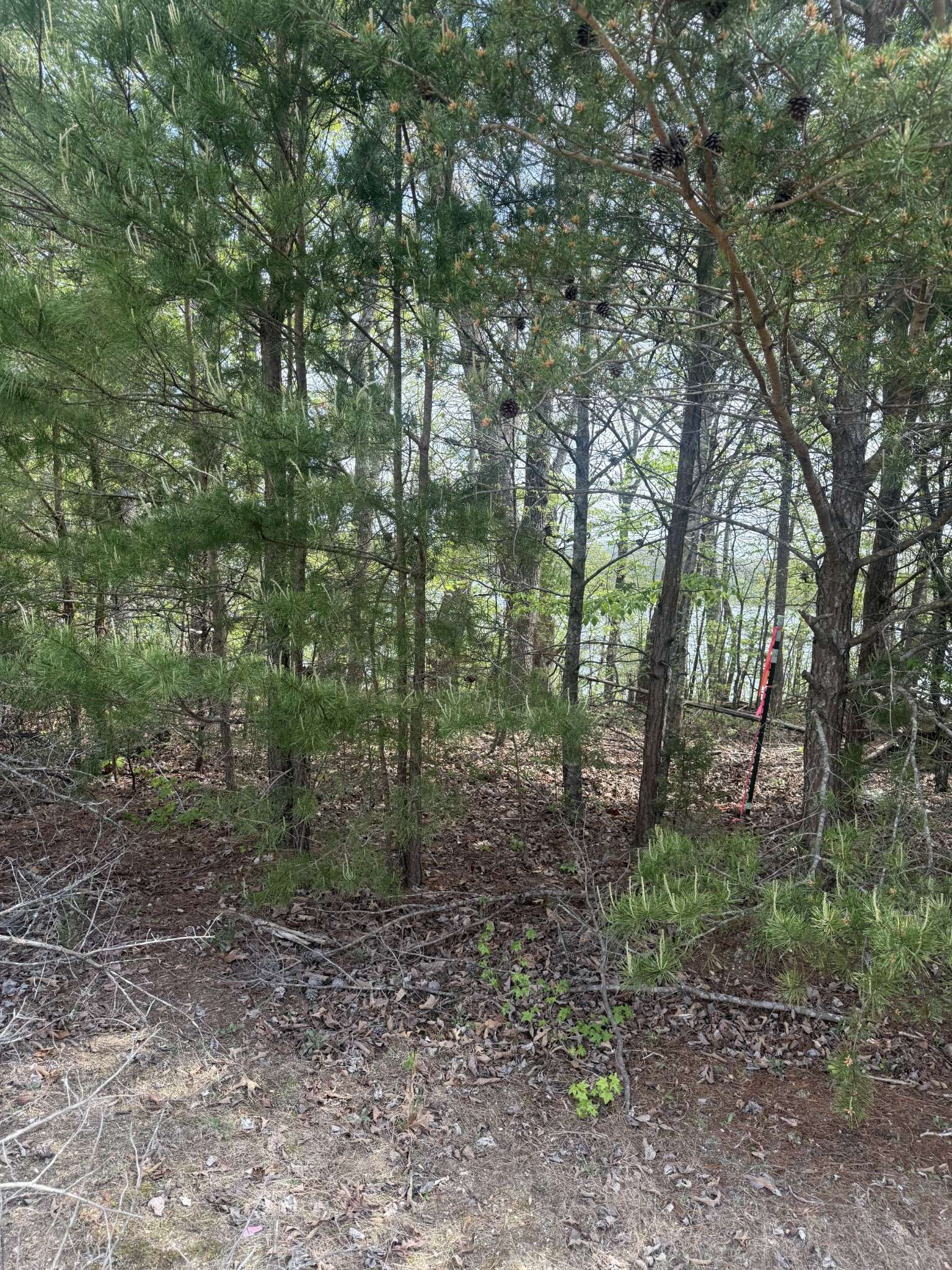 16624 N Star Cir, Bakewell, TN 37373