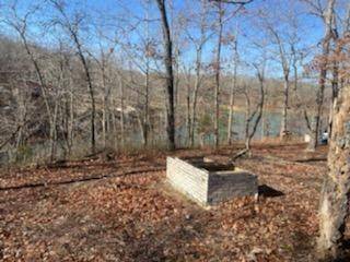 0 Lakeview Dr, Nunnelly, TN 37137