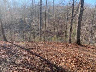 0 Lakeview Dr, Nunnelly, TN 37137