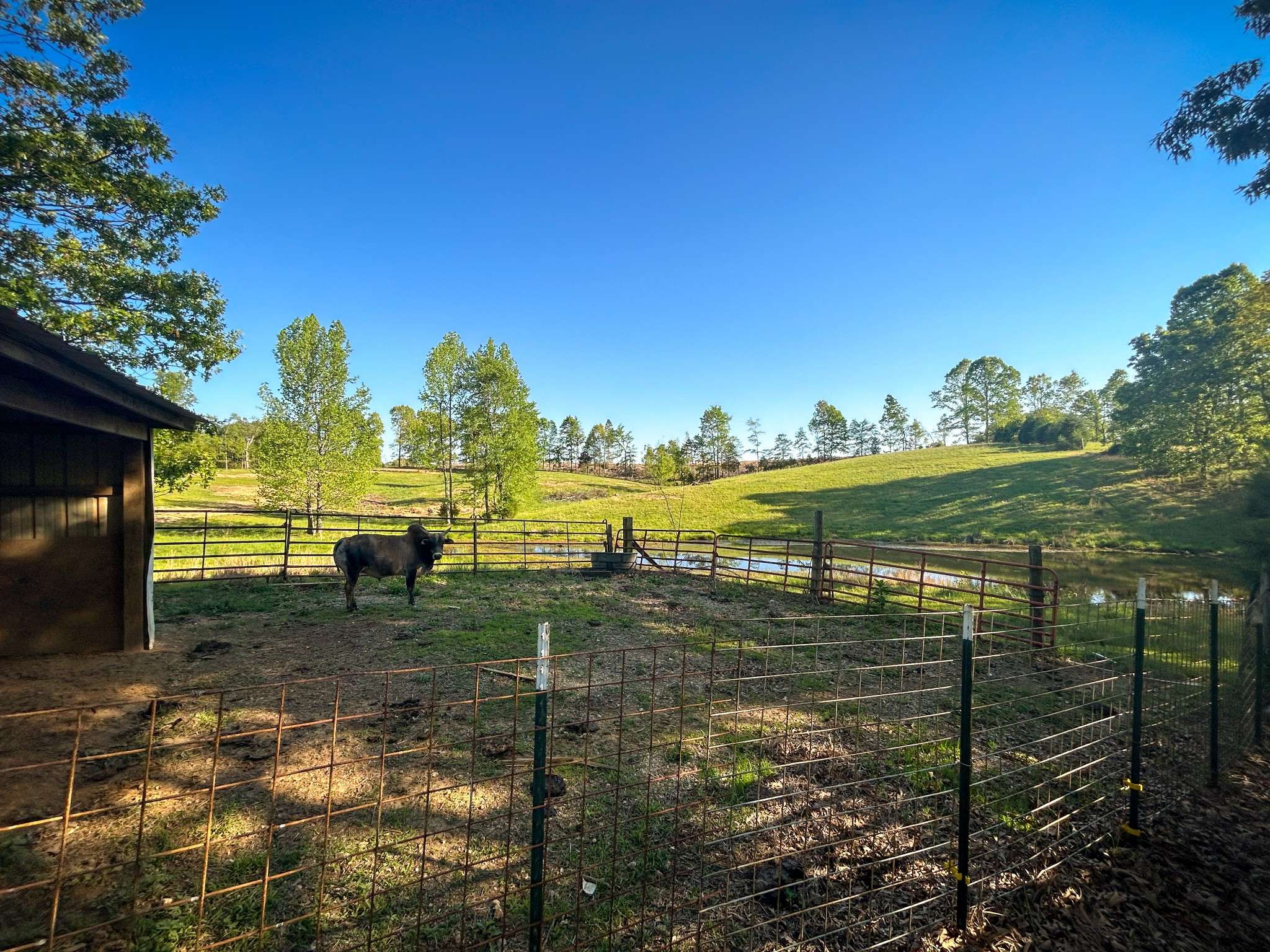 1185 Blackburn Rd, Mc Kenzie, TN 38201