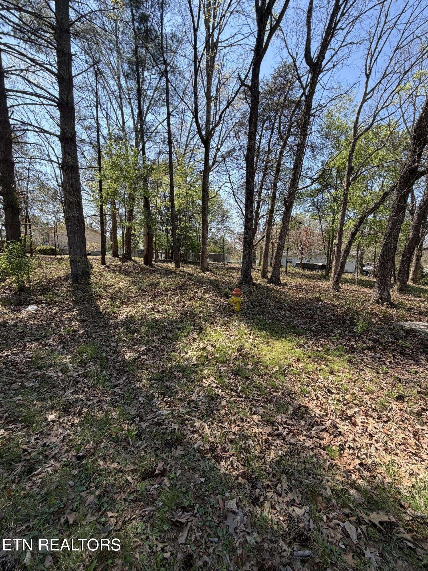 319 Dartmoor Drive, Crossville, TN 38558