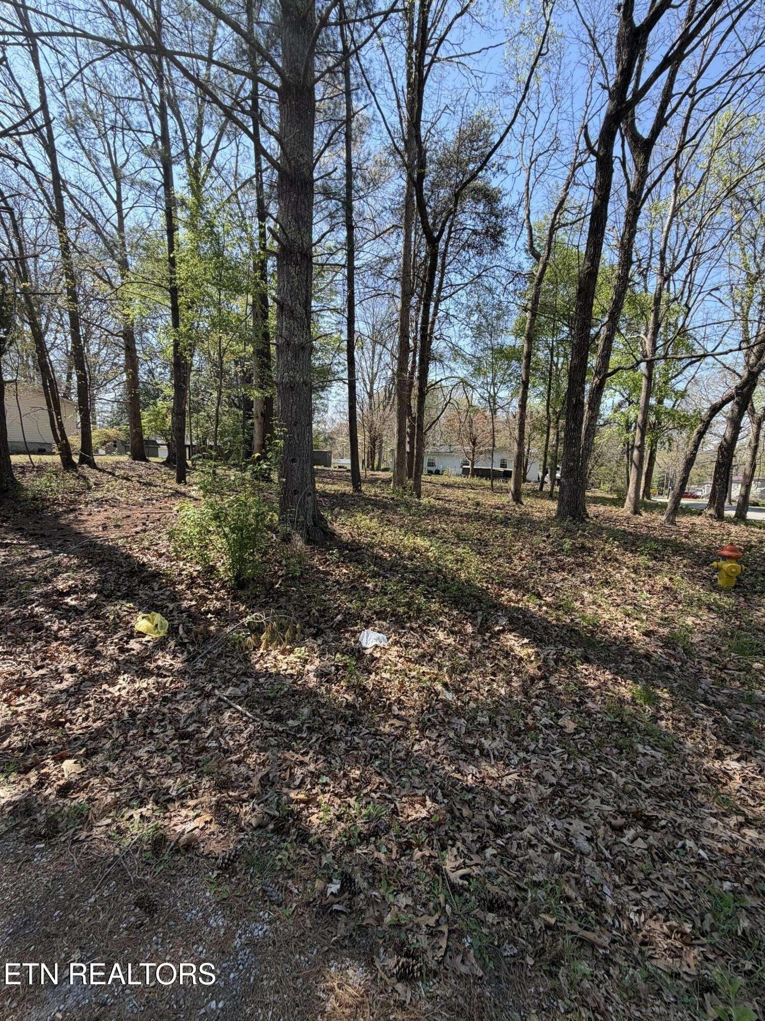 319 Dartmoor Drive, Crossville, TN 38558