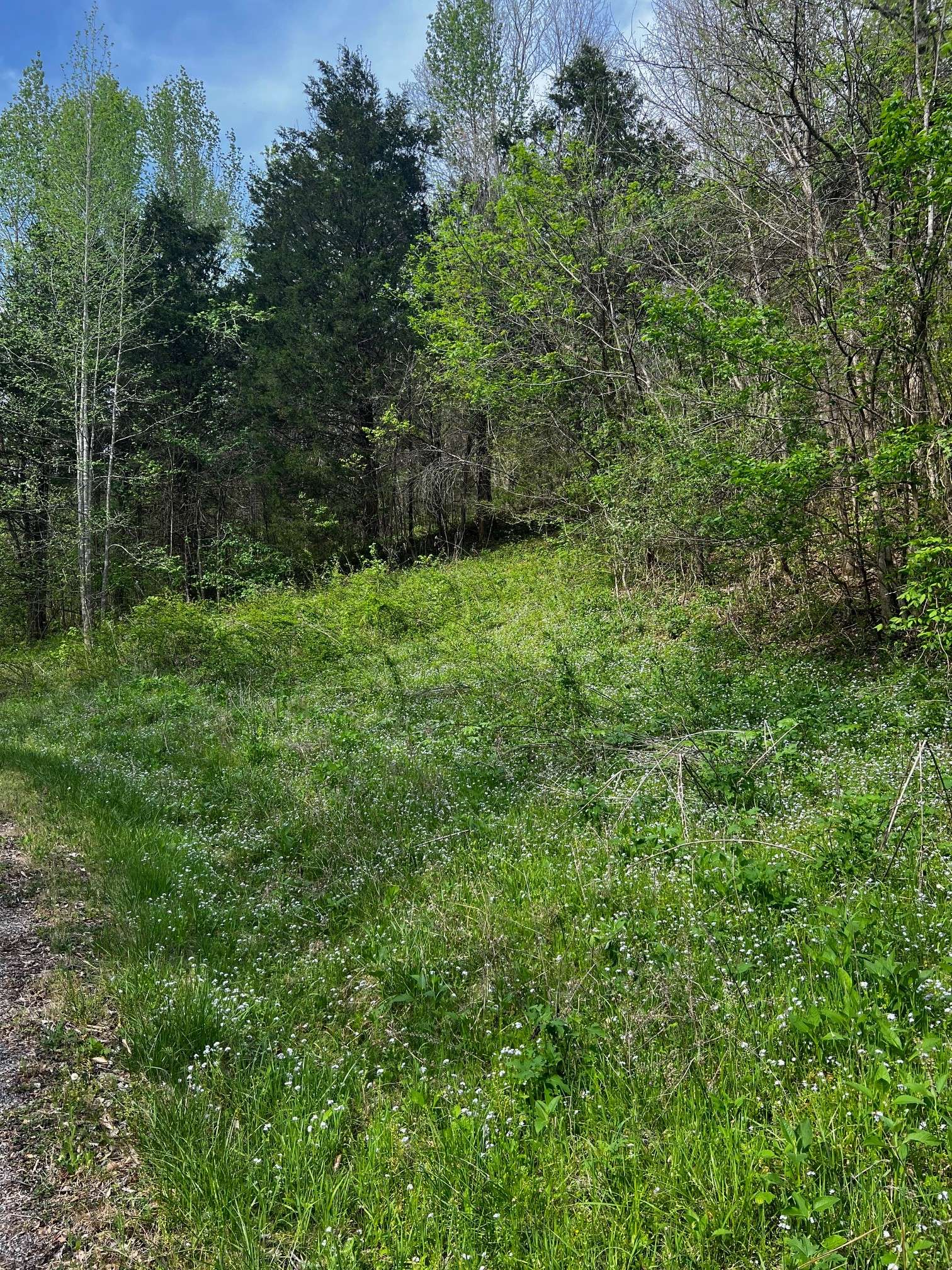 0 Weber Lane, Celina, TN 38551