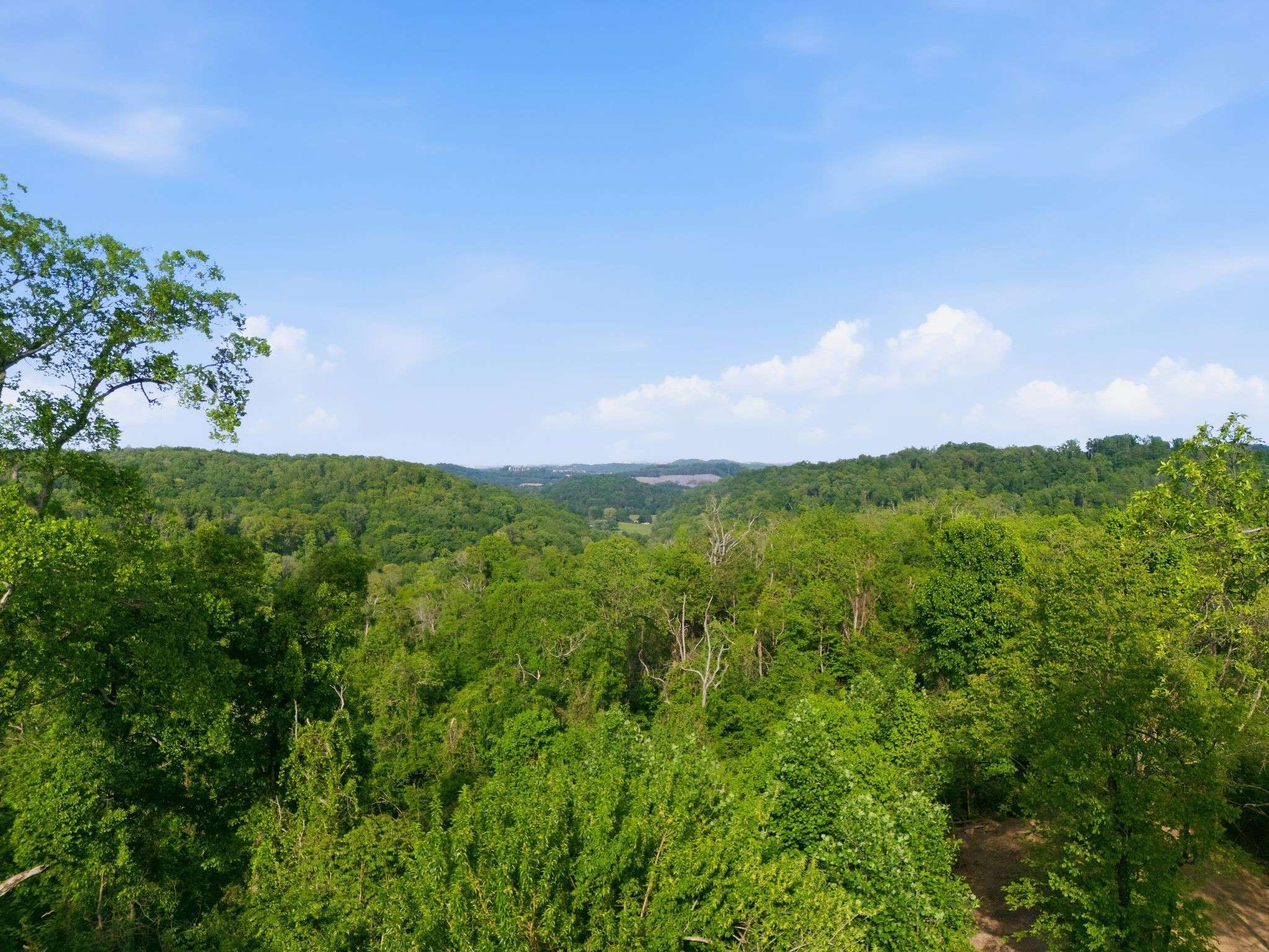 7791 Old Charlotte Pike, Nashville, TN 37209