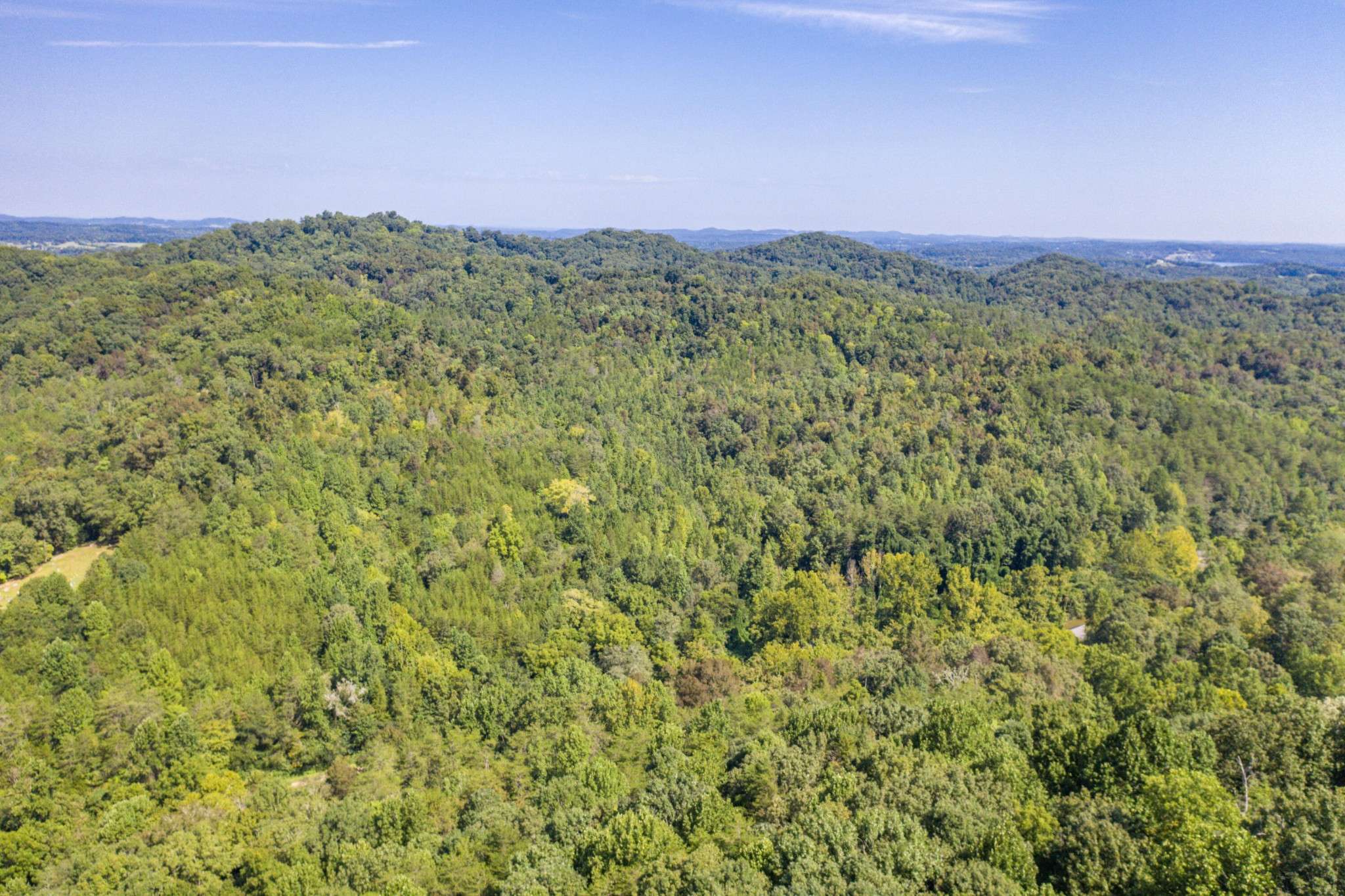 1125 Scenic River Road, Madisonville, TN 37354