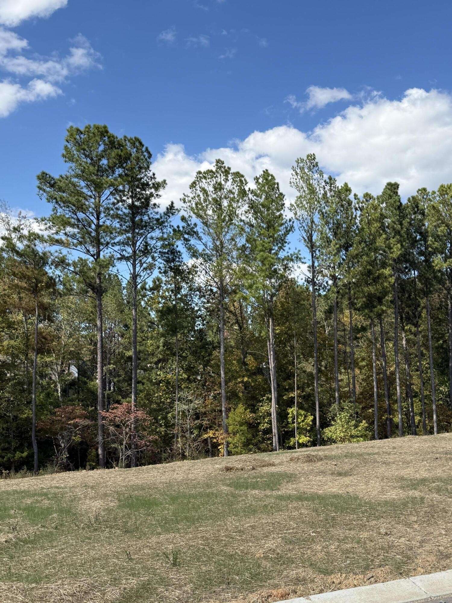 4 Creekwood, Cleveland, TN 37312
