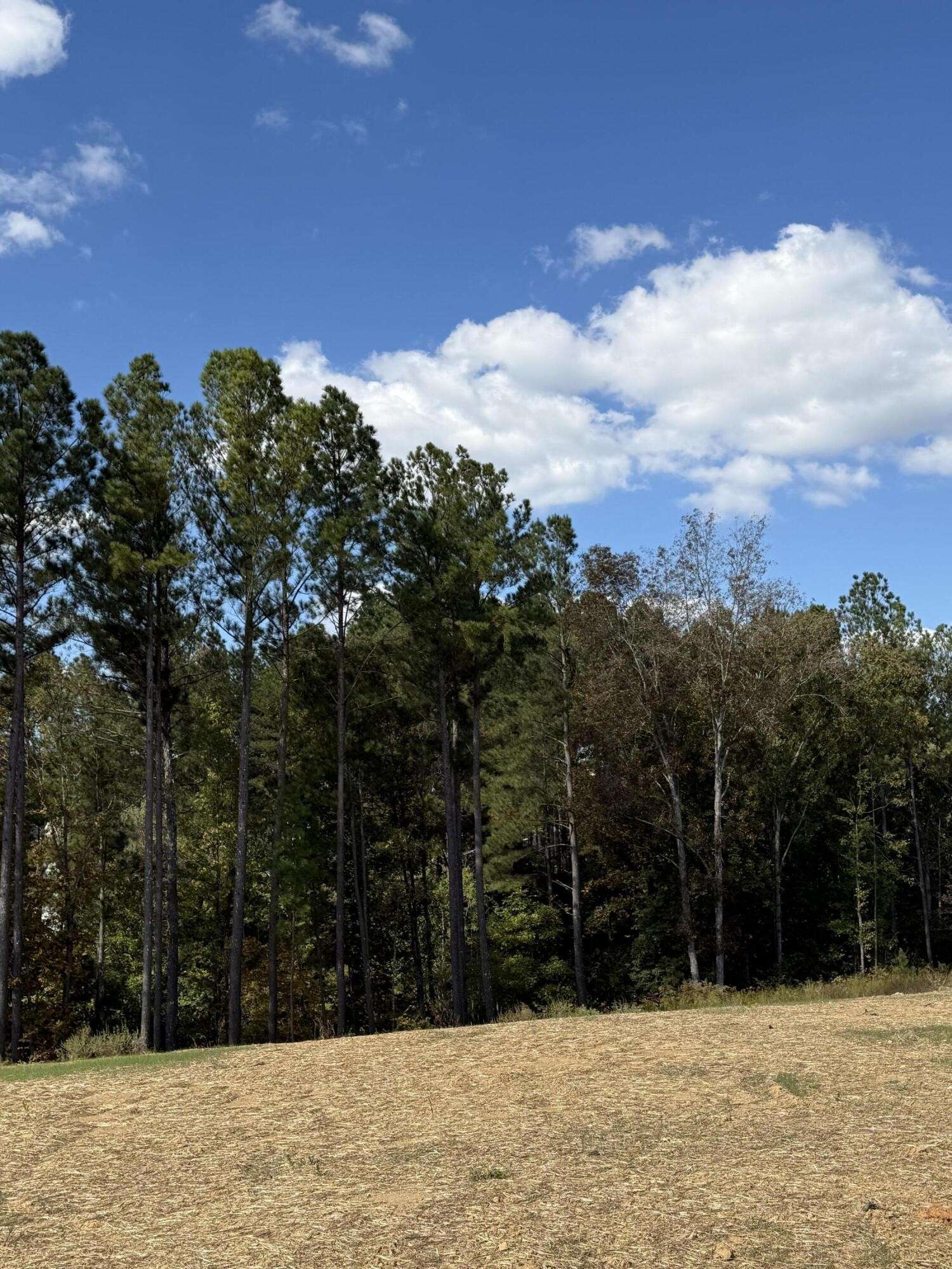 5 Creekwood, Cleveland, TN 37312