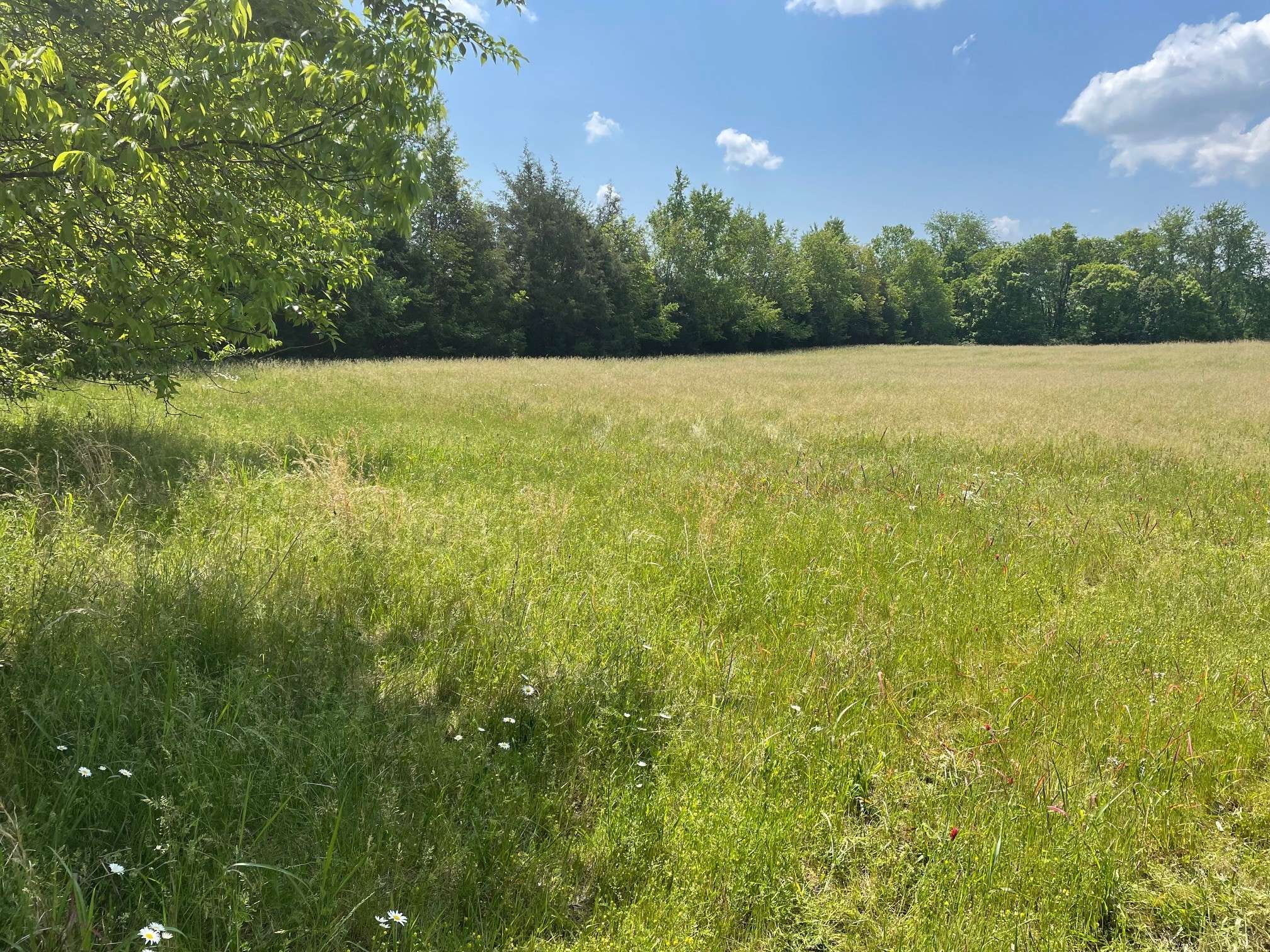 0 Maynard Lane, Columbia, TN 38401