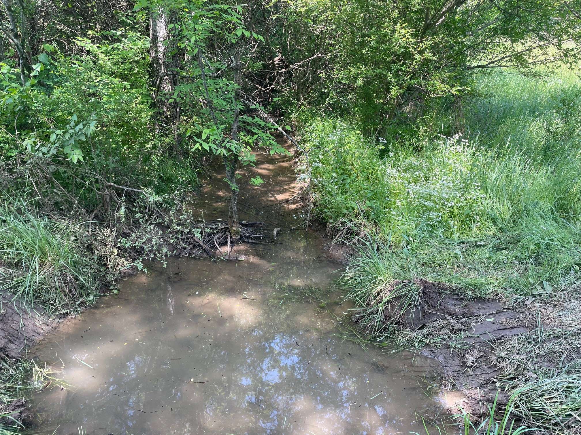 0 Maynard Lane, Columbia, TN 38401