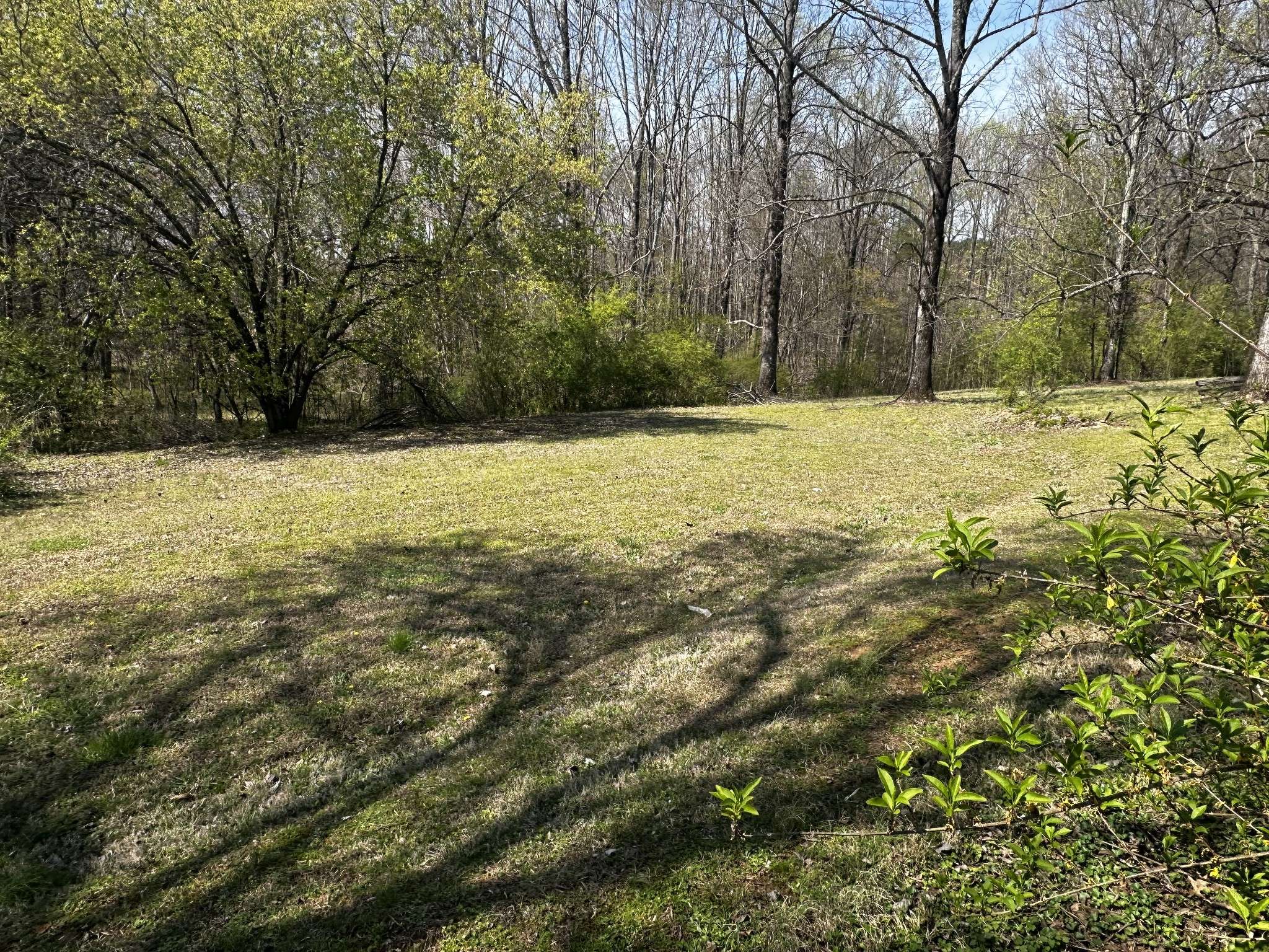 91 Lambs Ferry Rd, Loretto, TN 38469