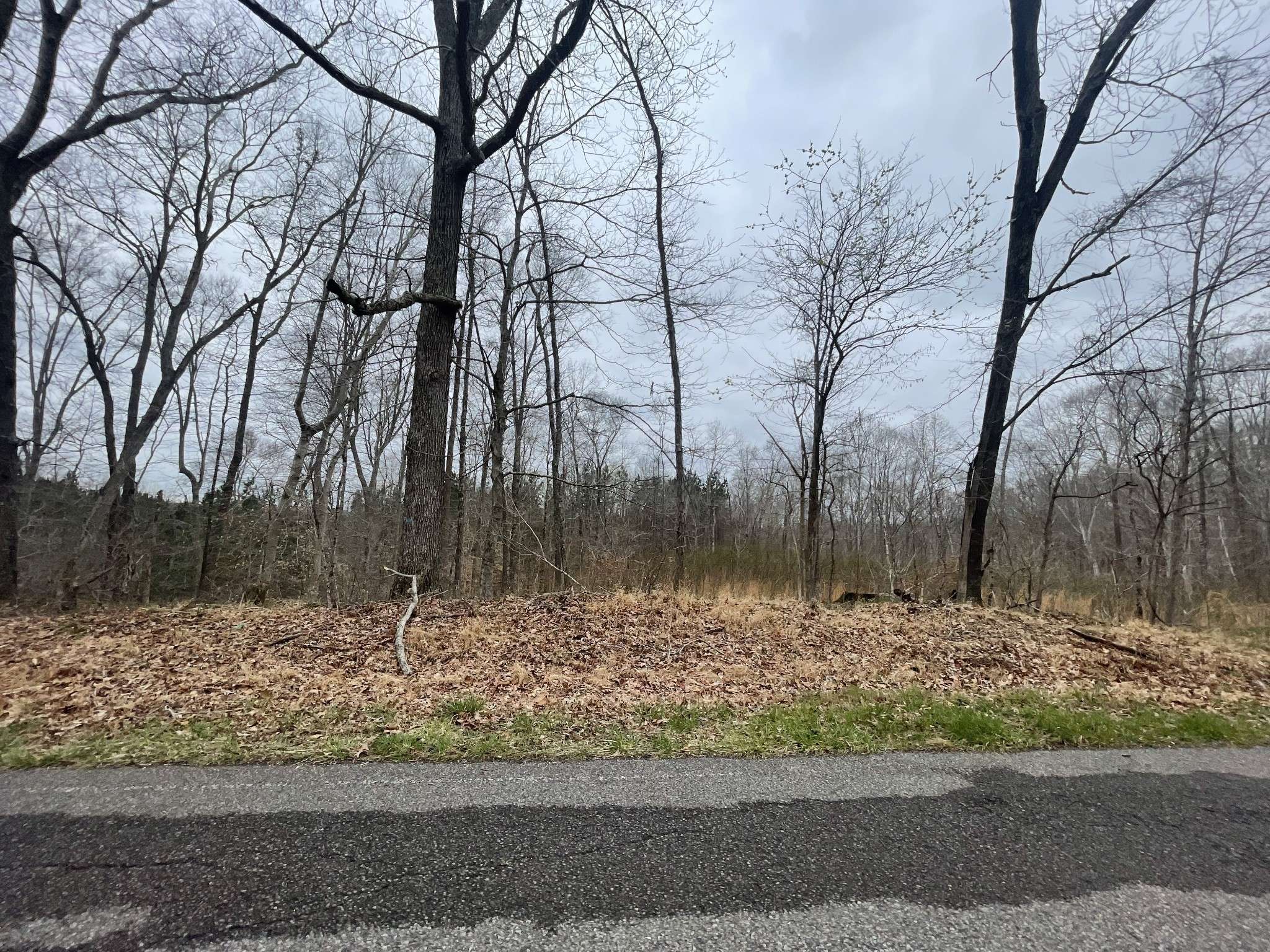 1 Forest Trl, Bumpus Mills, TN 37028