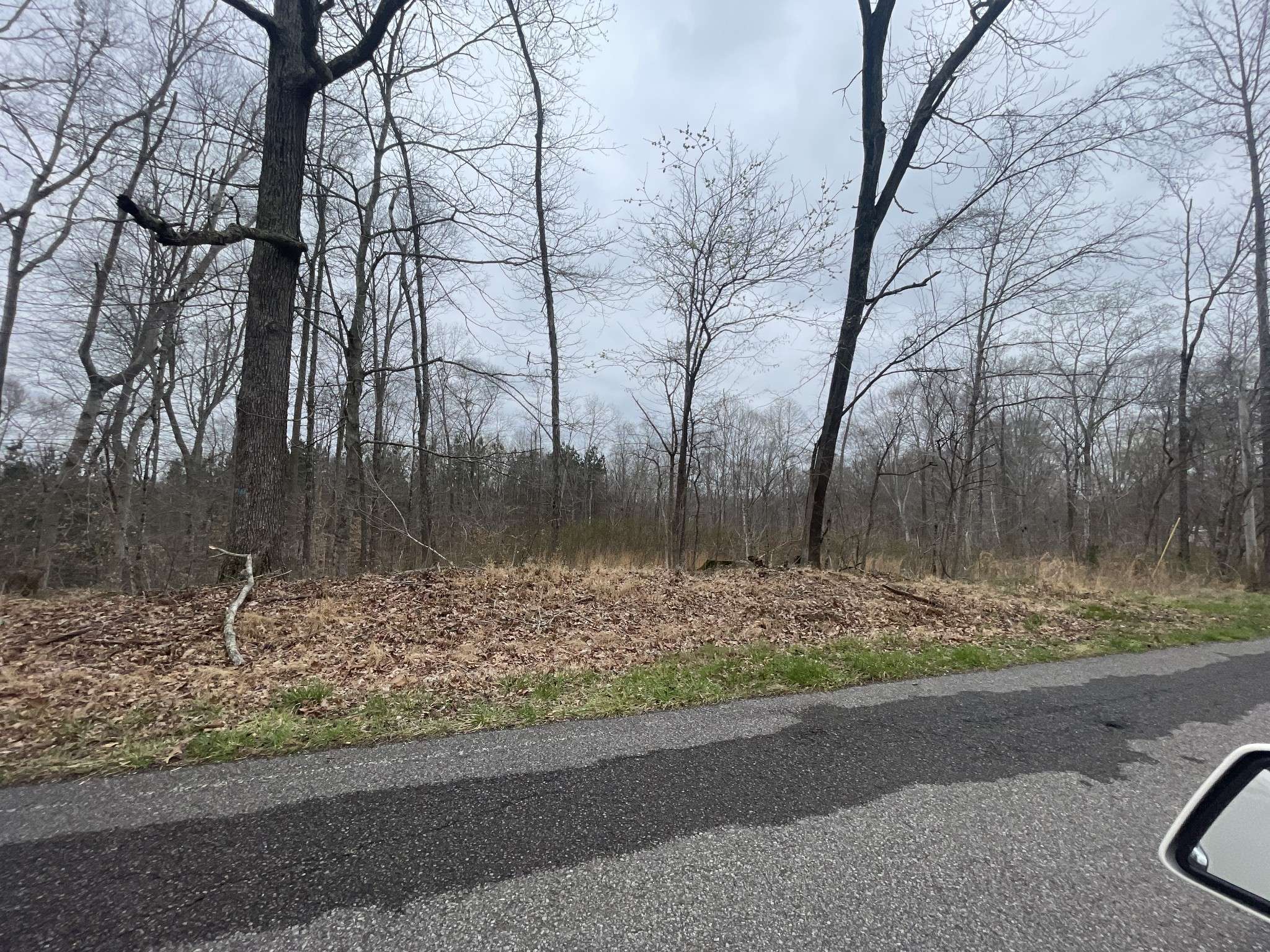 1 Forest Trl, Bumpus Mills, TN 37028