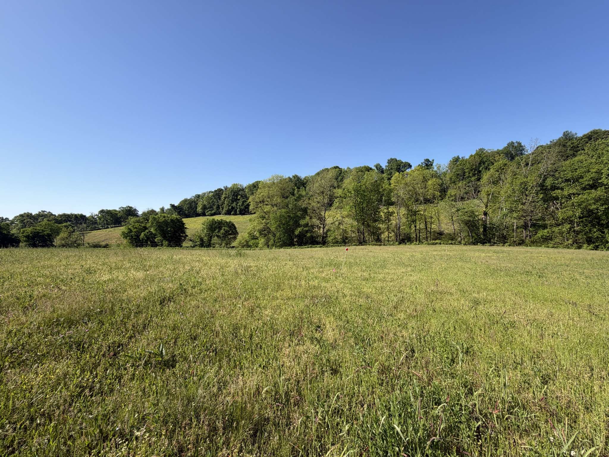 0 Steam Mill Hollow Road, Williamsport, TN 38487