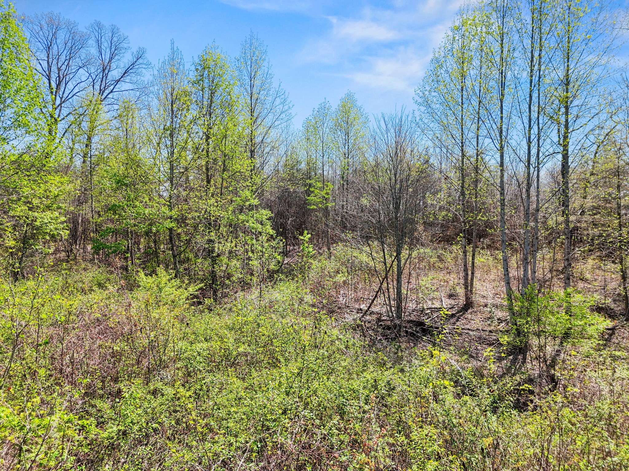 0 Grayson Way, Signal Mountain, TN 37377