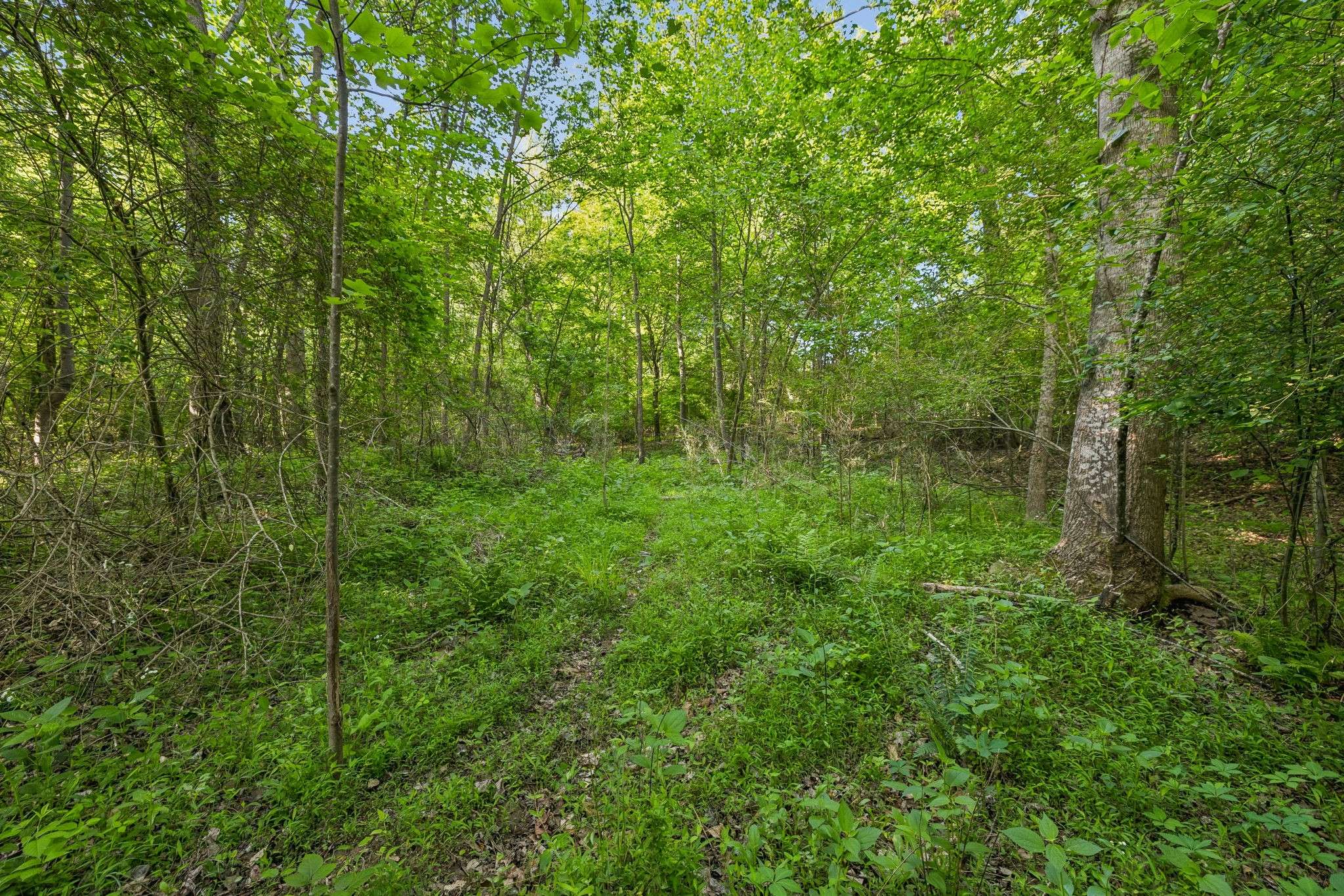 0 Rebecca West Rd, Fayetteville, TN 37334