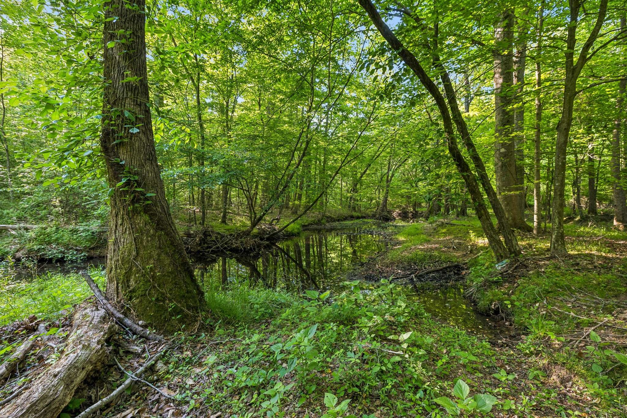 0 Rebecca West Rd, Fayetteville, TN 37334