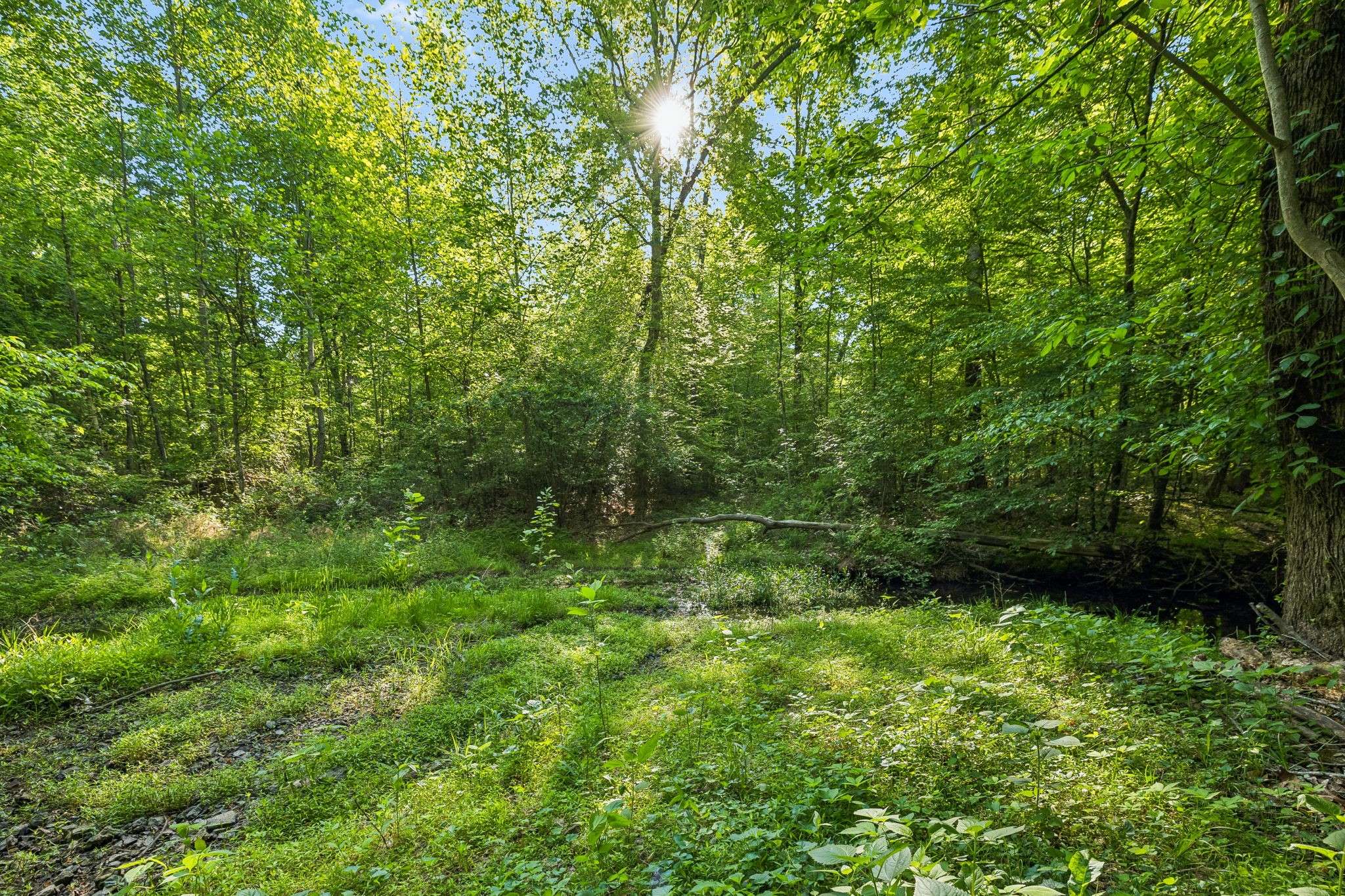 0 Rebecca West Rd, Fayetteville, TN 37334