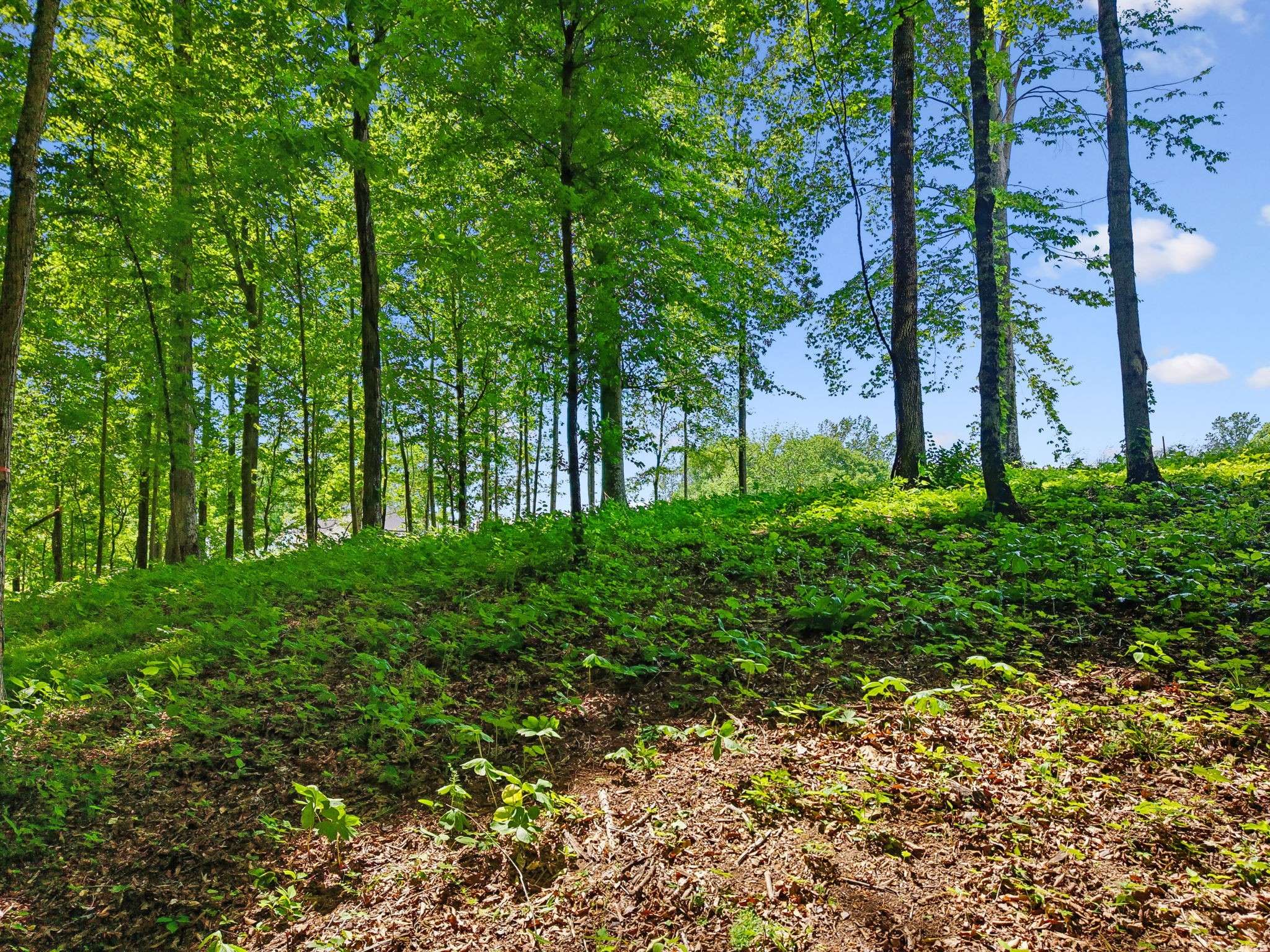 0 Casparis Road, Franklin, TN 37064
