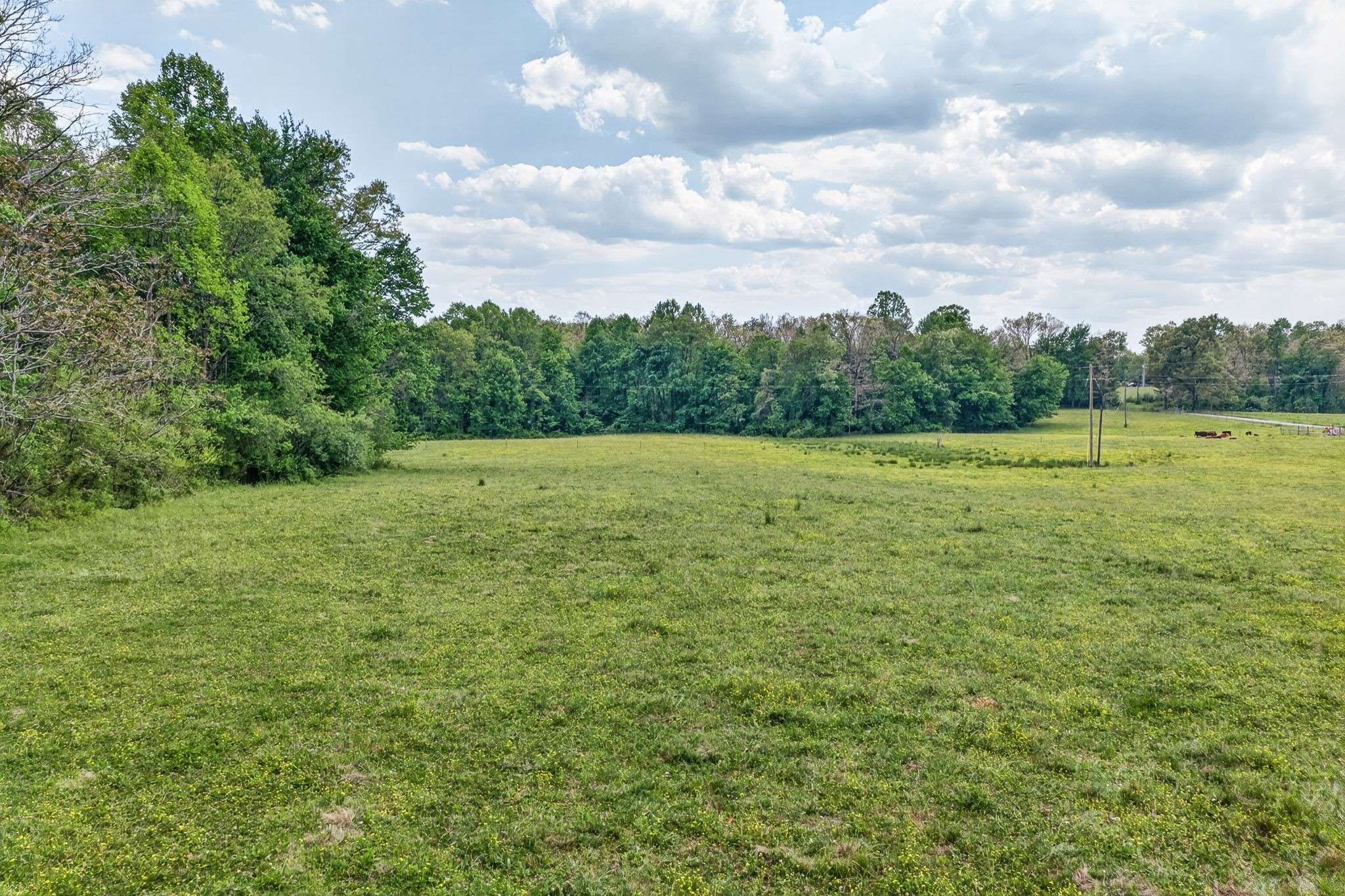 0 Honey Creek Loop Rd, Allardt, TN 38504