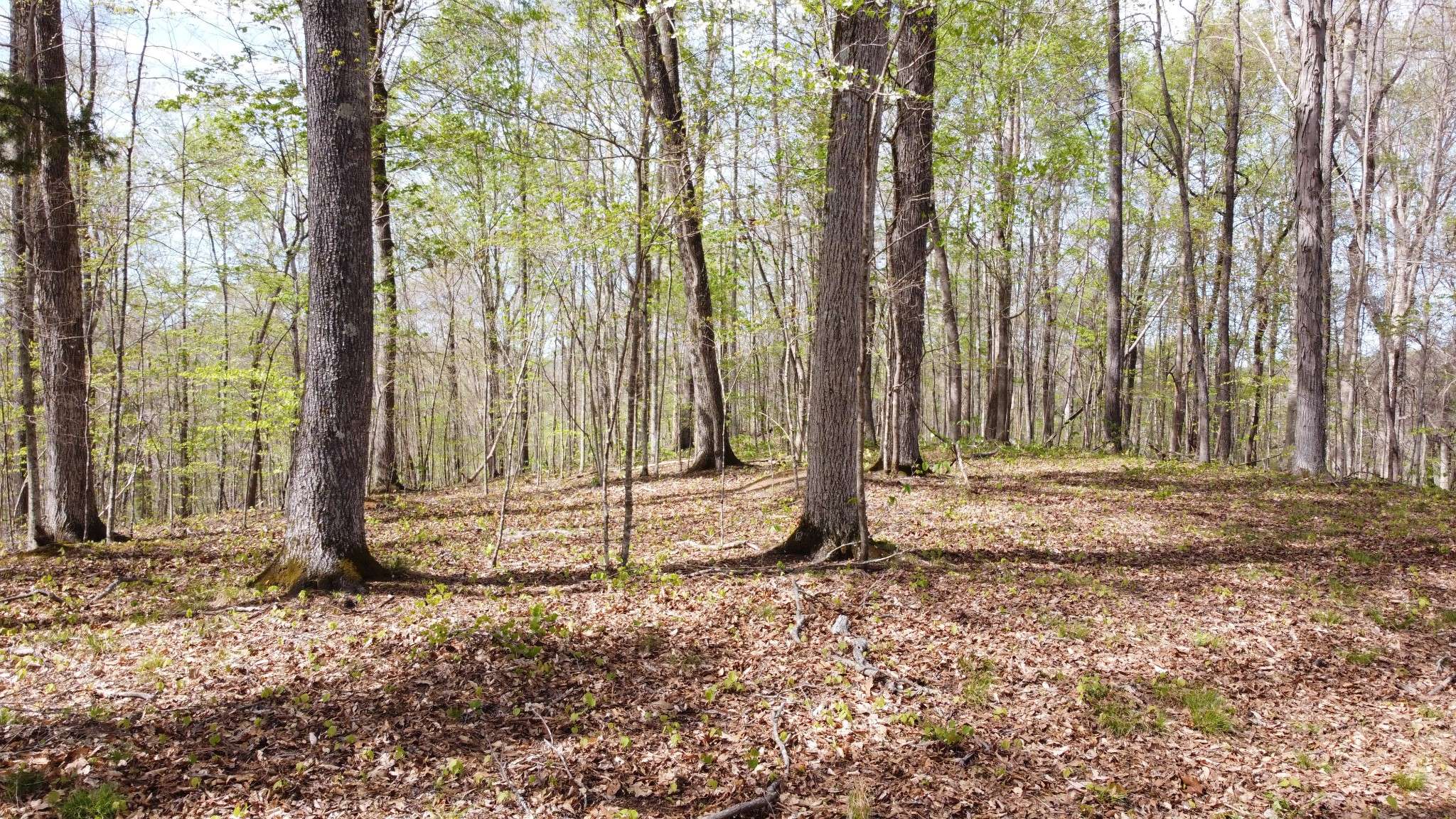 0 Off Johnson Chapel Rd, Sparta, TN 38583